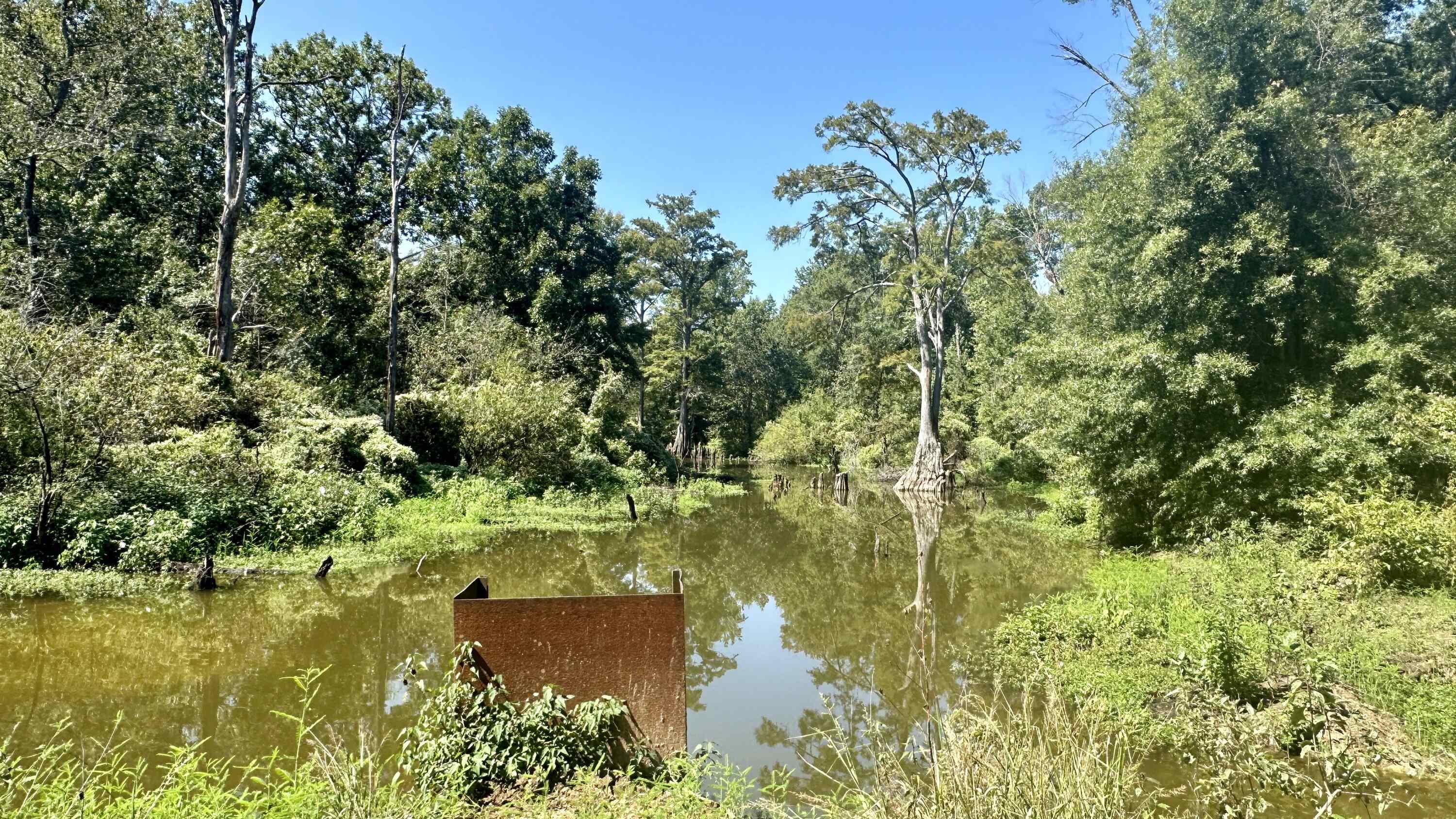 Before it empties into the White River, Bayou Des Arc snakes across southern White County providing some of the best bottomland hunting the state has to offer. Its nutrient rich water is the life blood of giant flathead catfish, trophy class whitetails and mast bearing hardwood timber. And while the fish and deer are constants in this long swath of timber, its the annual migration of ducks that really makes it special. The Bayou Des Arc 285 is positioned just west of the White River, framed by the Bayou along its south line, cropland to its north and a waterfowl managed tract to the east. The deer hunting here is fantastic in both quantity and quality with many fine animals being taken on the property. The acorns are plentiful on the giant oaks that populate the place and the scattered thickets provide browse and enough cover to allow the deer to reach their full potential. What really sets the place apart from all the private tracts up and down the Bayou is its large impoundment. With water nearly always present it makes a ready spot for ducks to visit providing food and thermal cover. The reservoir water can also be released at a controlled rate into the many sloughs.