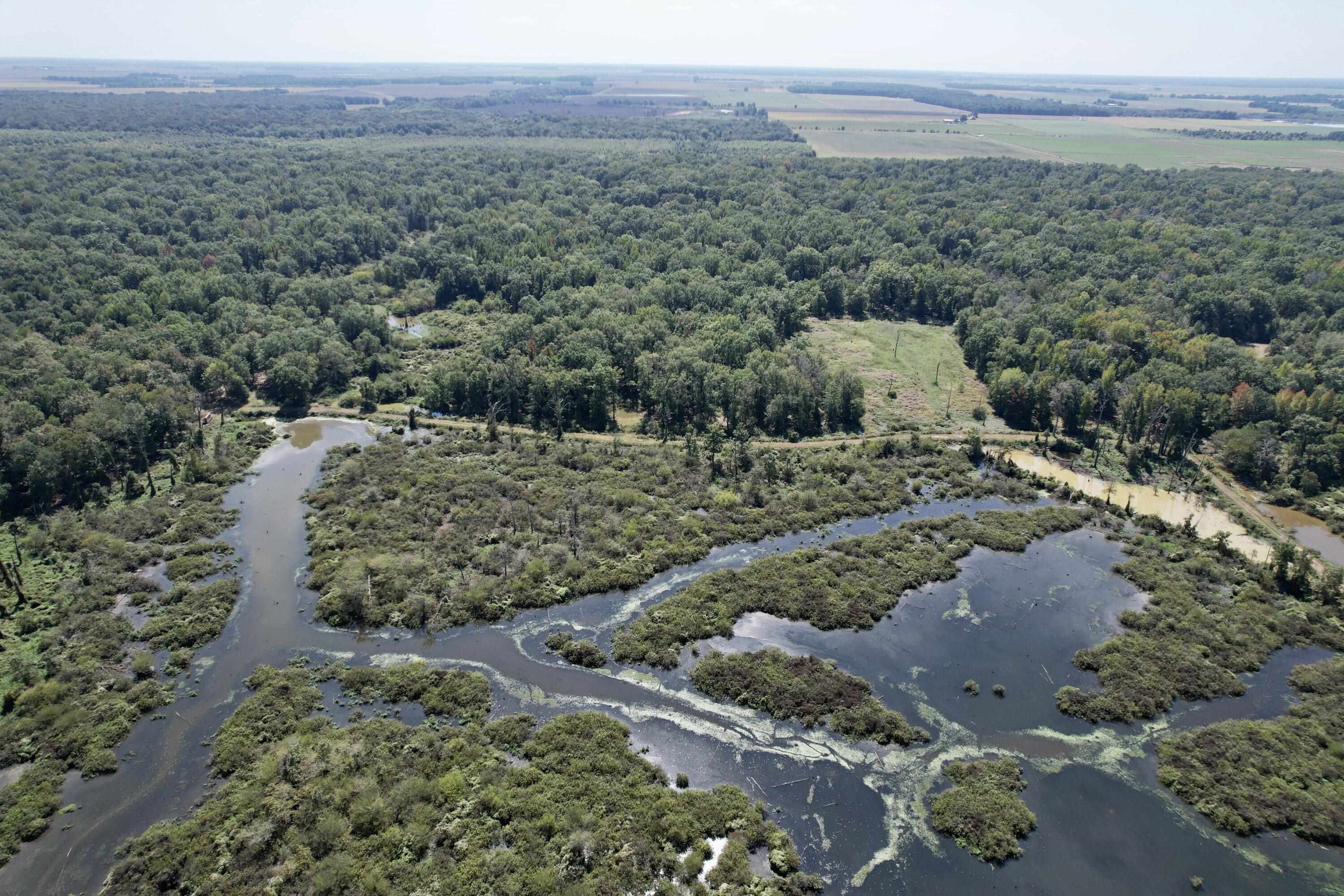 Metes & Bounds - Land