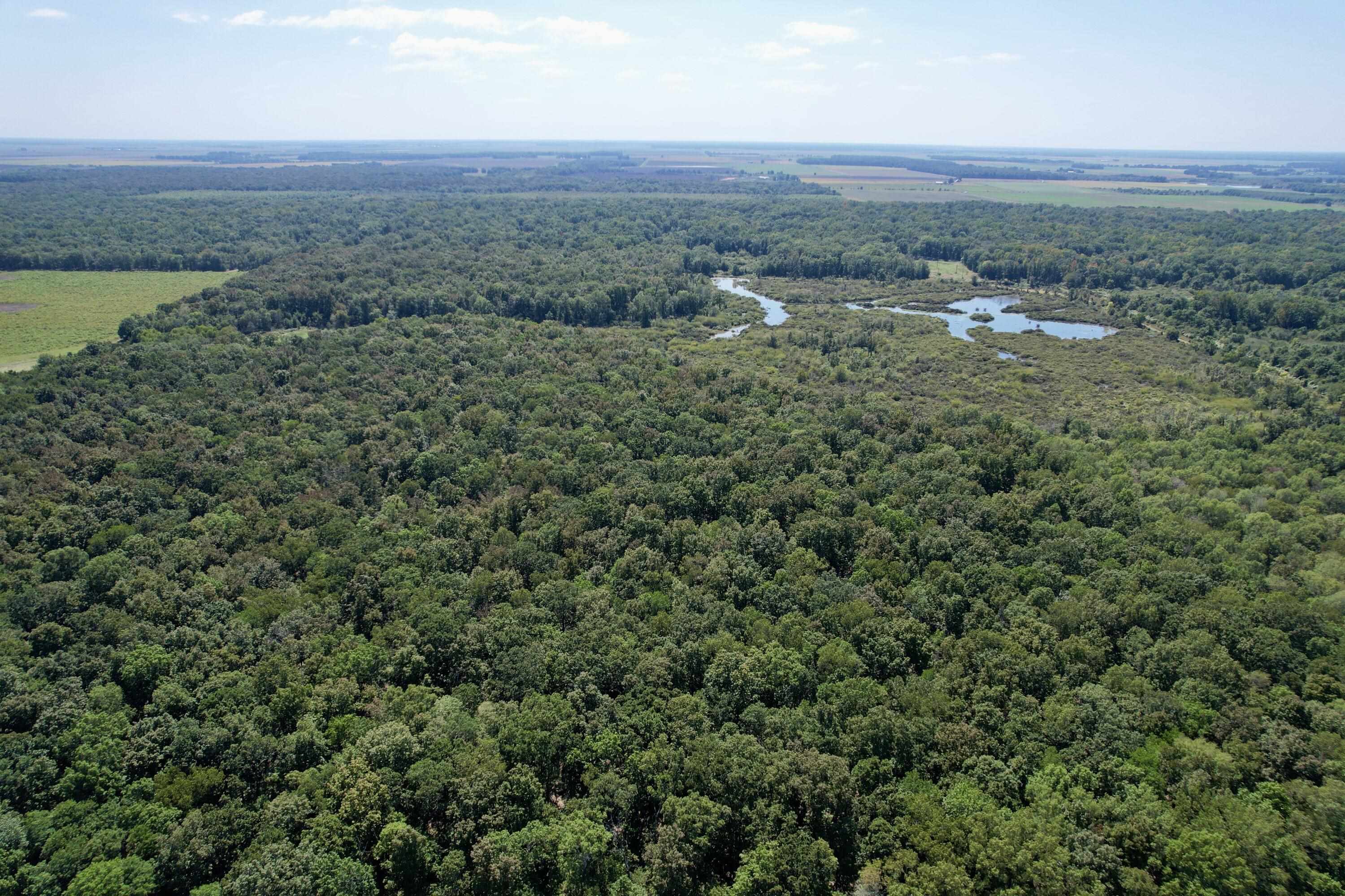 Metes & Bounds - Land