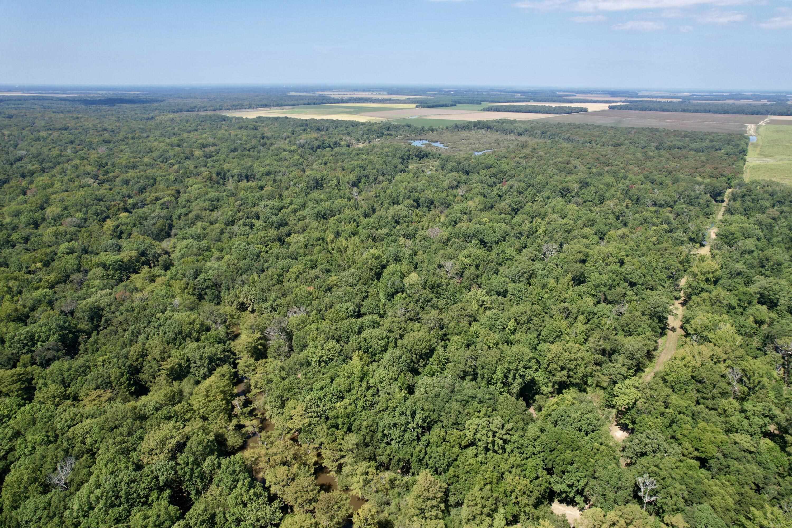 Metes & Bounds - Land