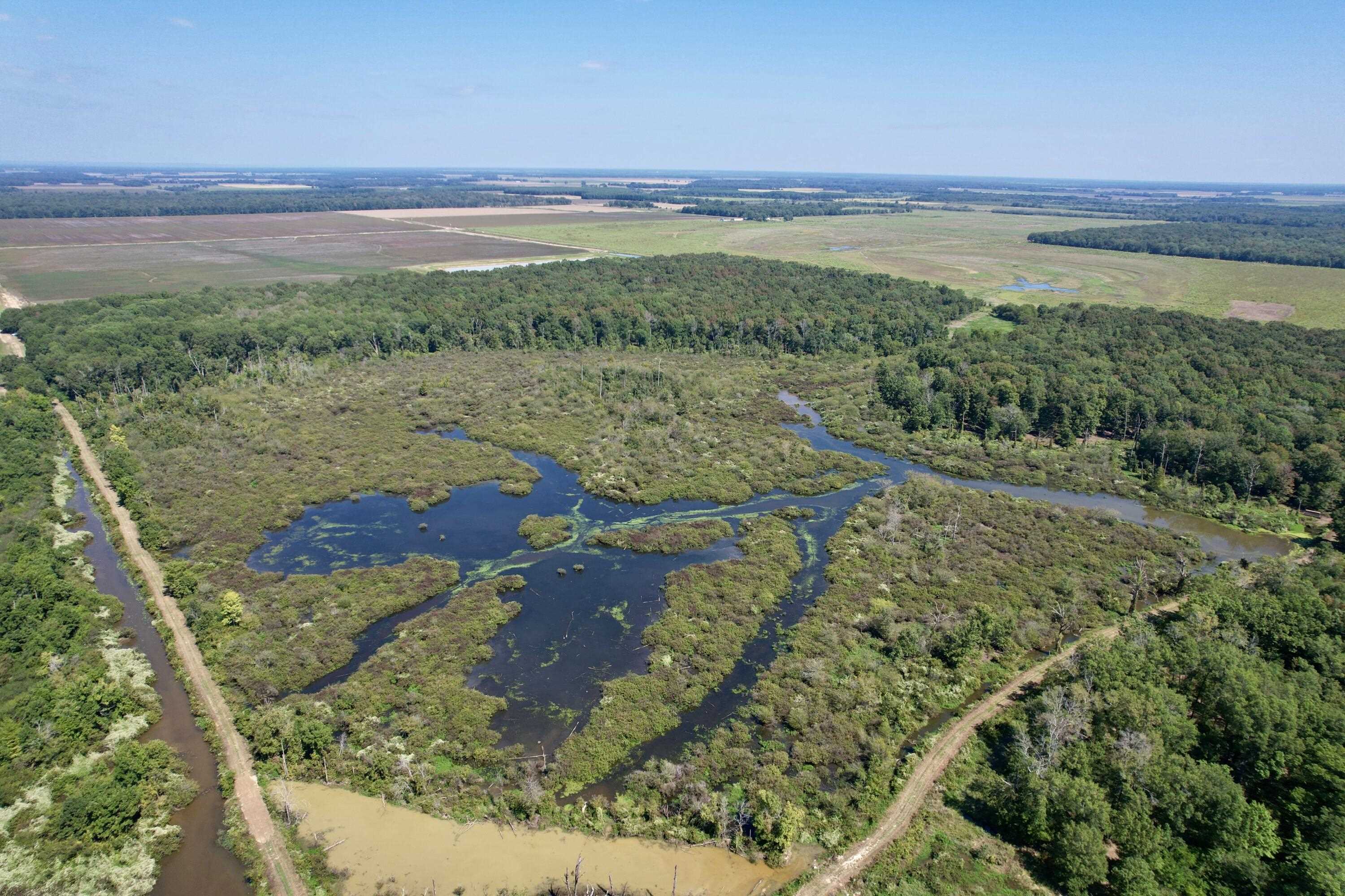 Metes & Bounds - Land