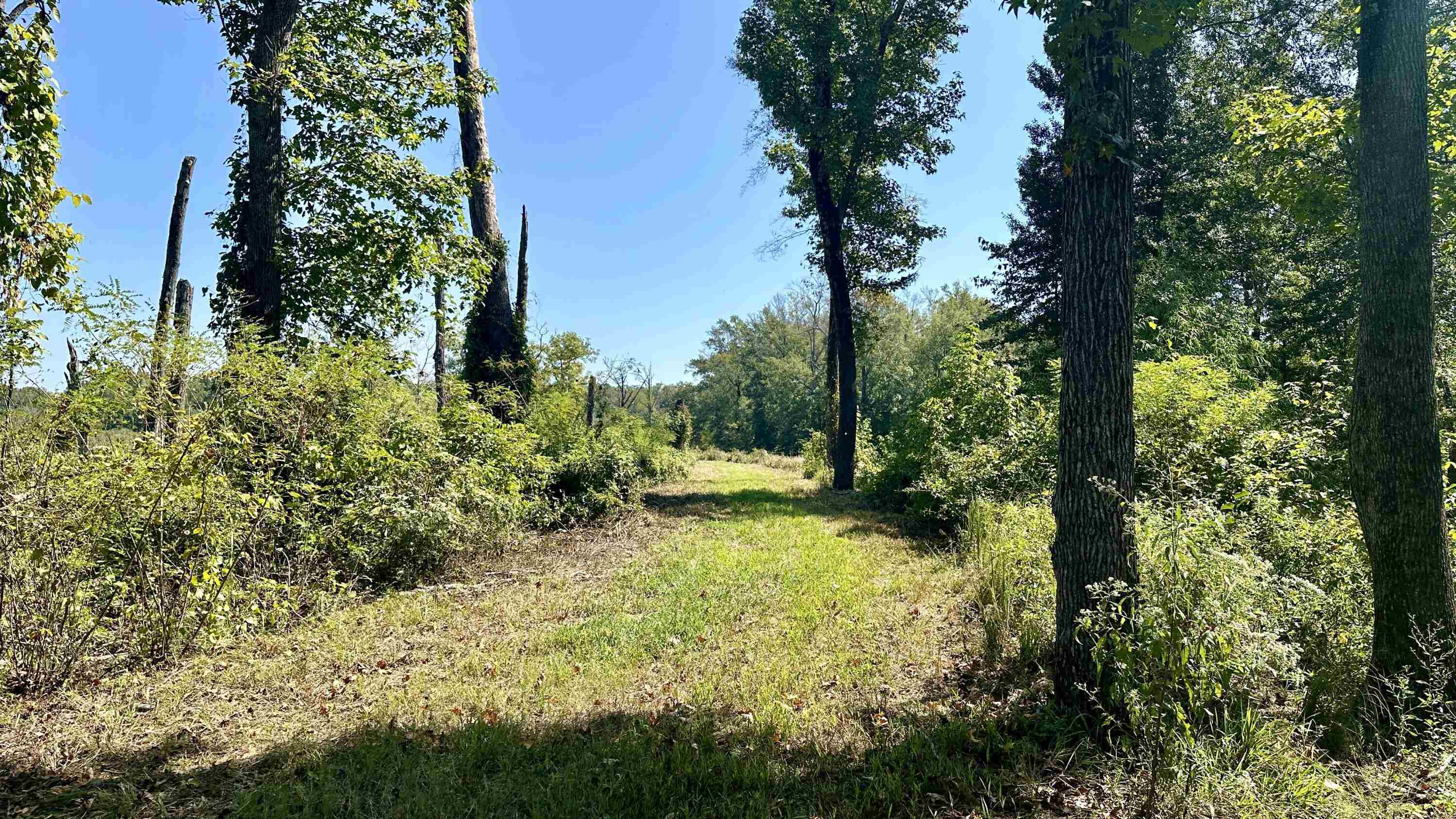 Metes & Bounds - Land