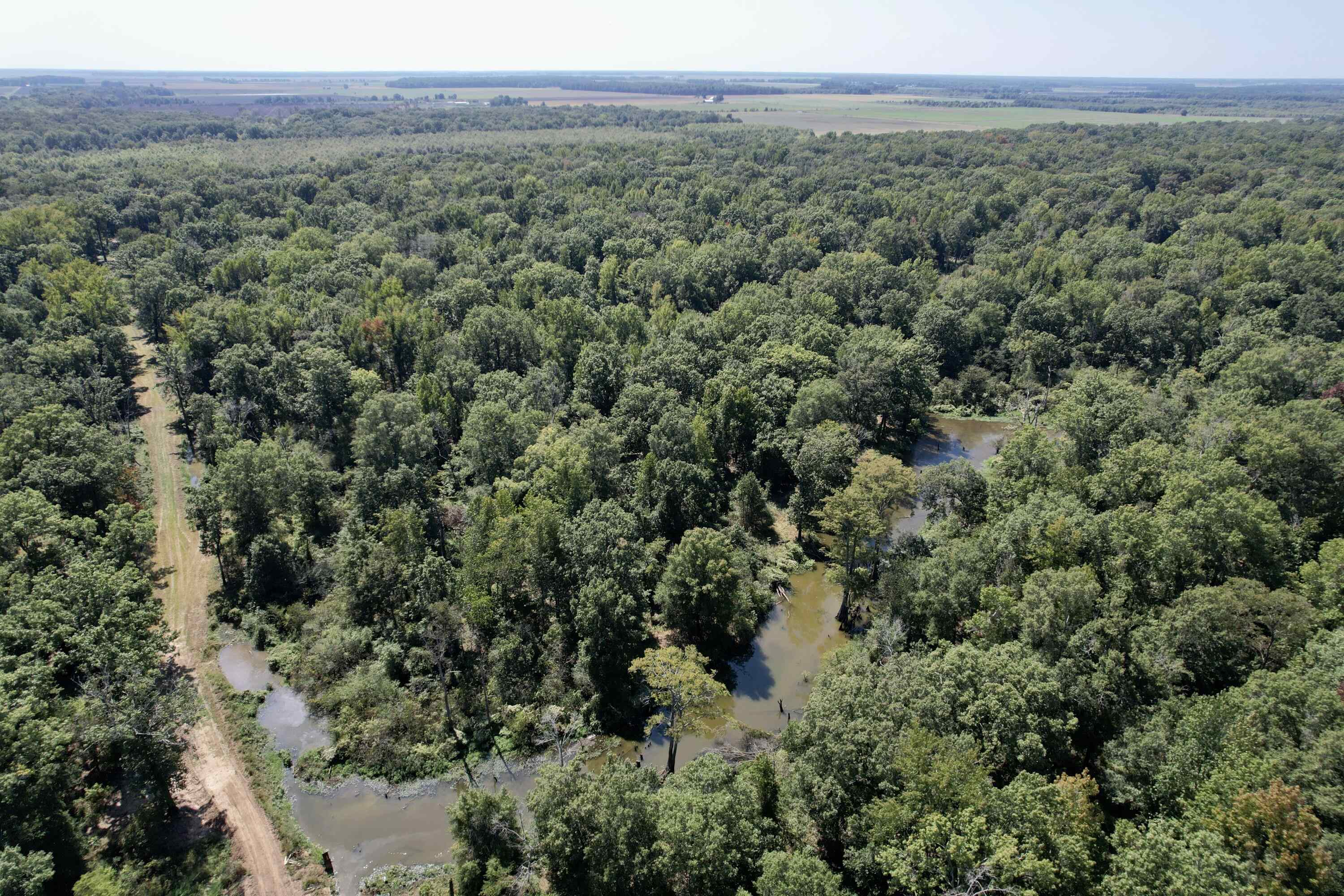 Metes & Bounds - Land