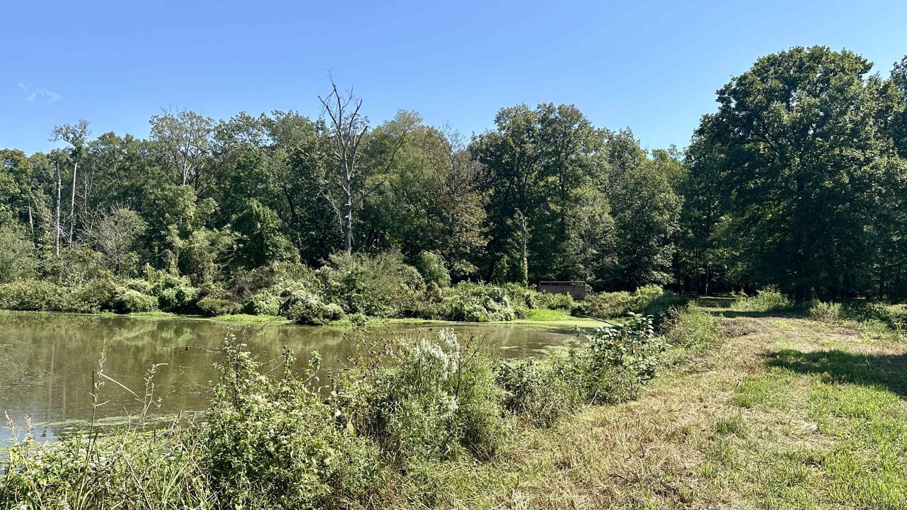 Metes & Bounds - Land