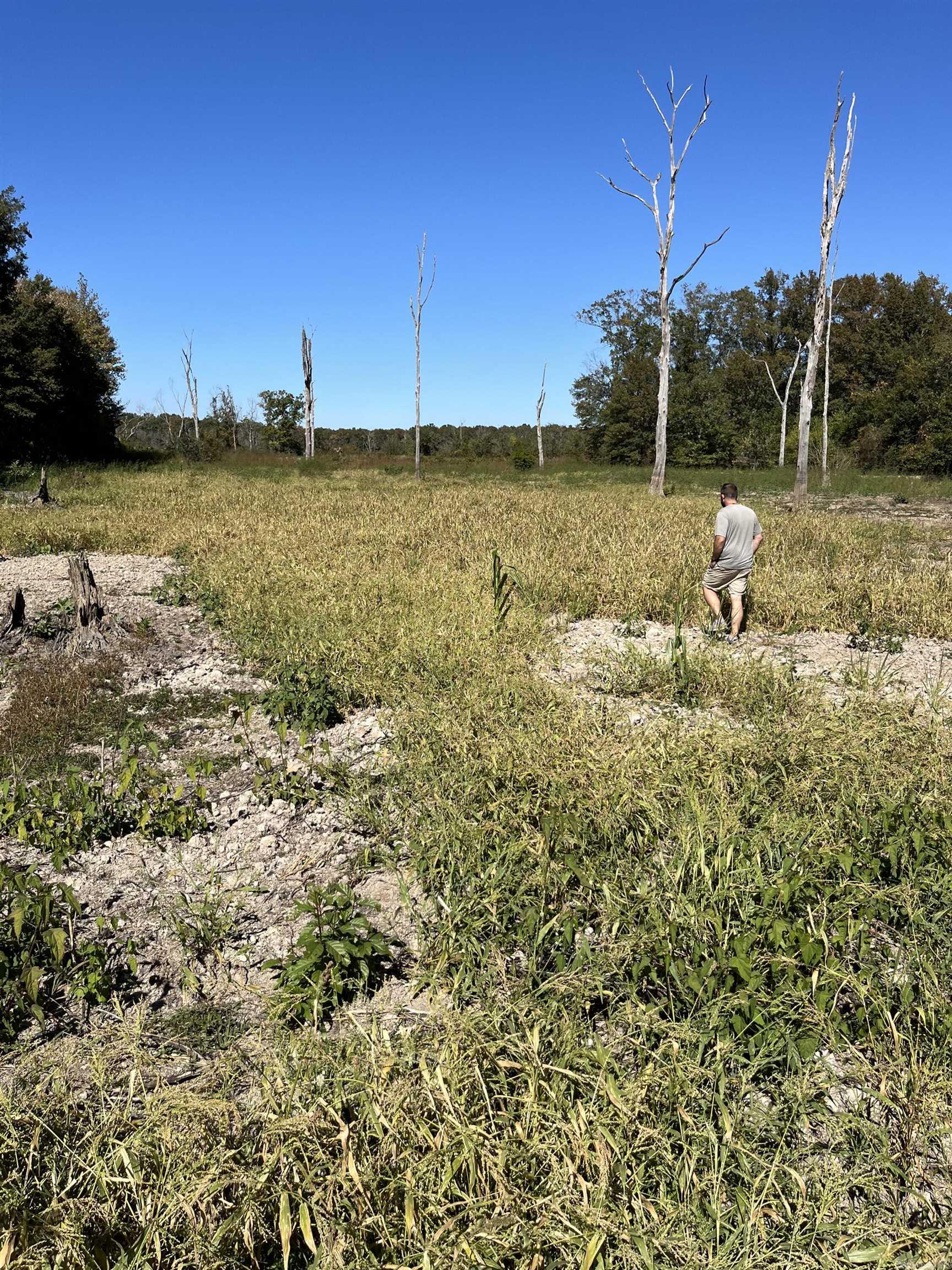 Metes & Bounds - Land