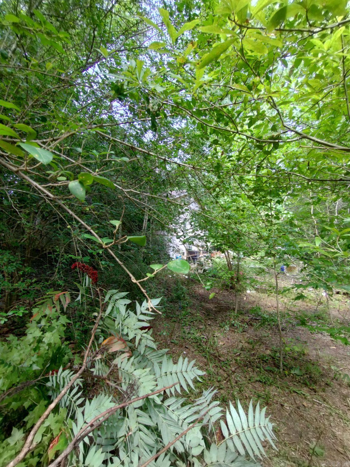 Cane Creek Mini-Farms - Land