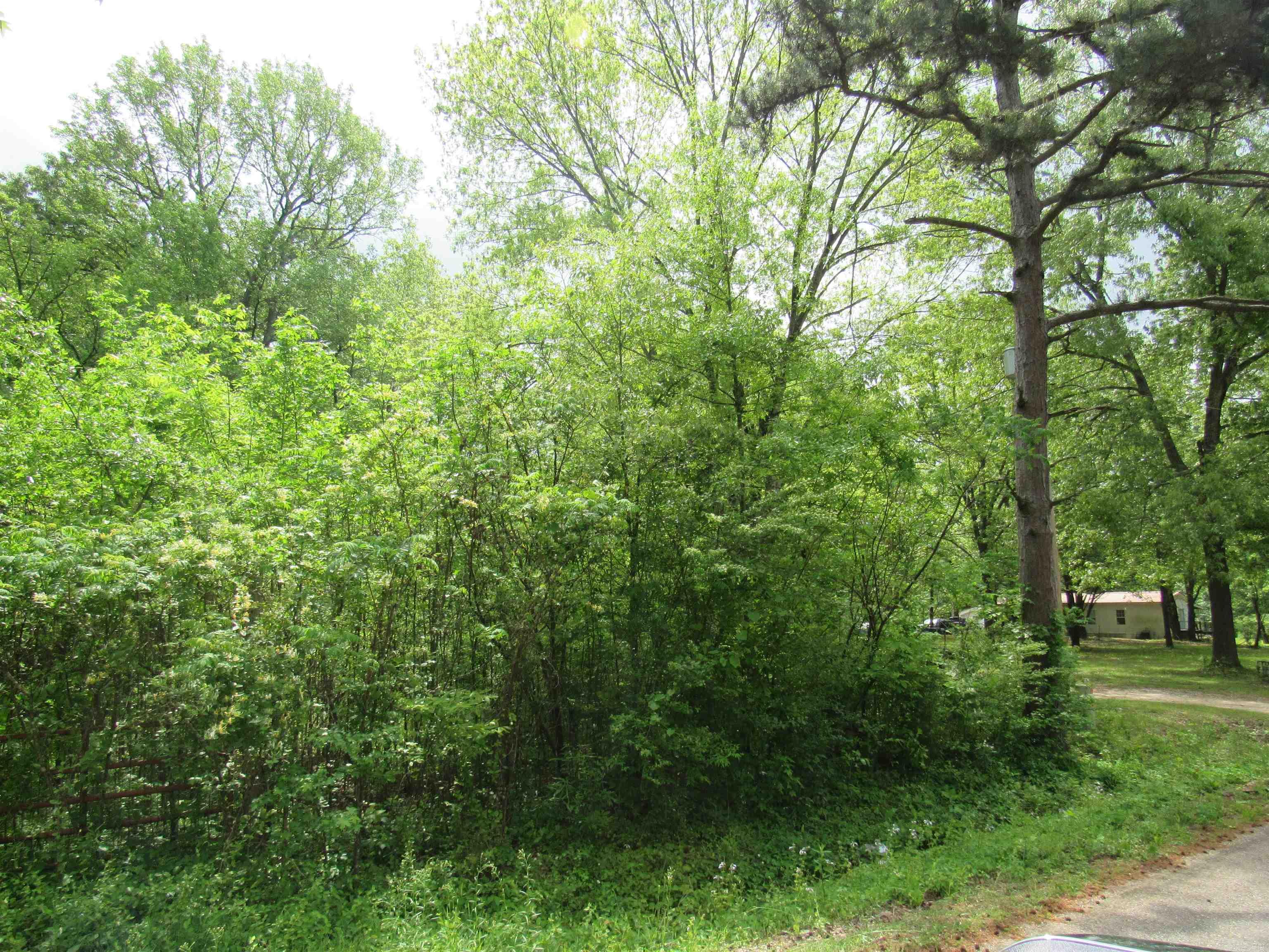 Cane Creek Mini-Farms - Land