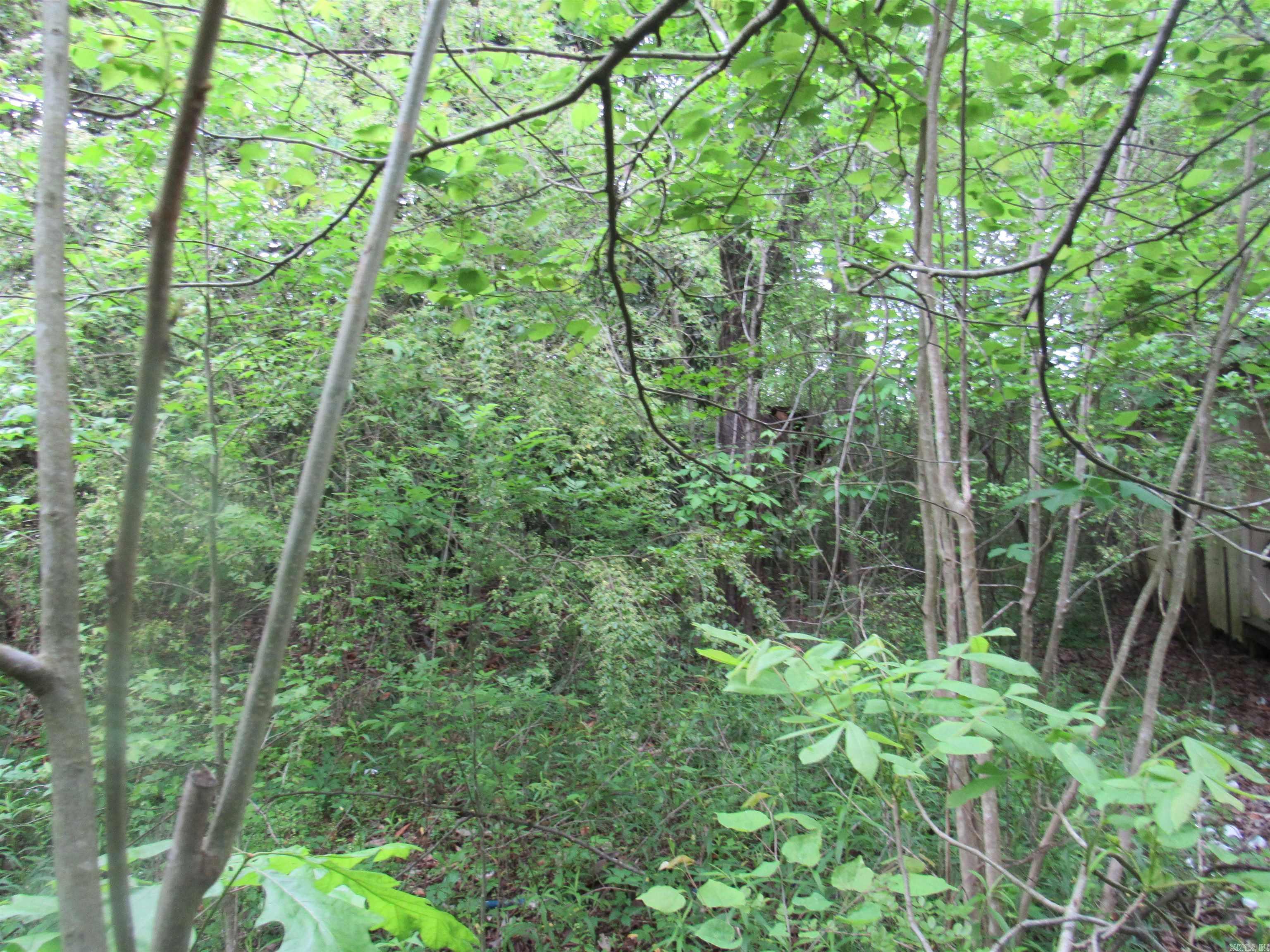 Cane Creek Mini-Farms - Land