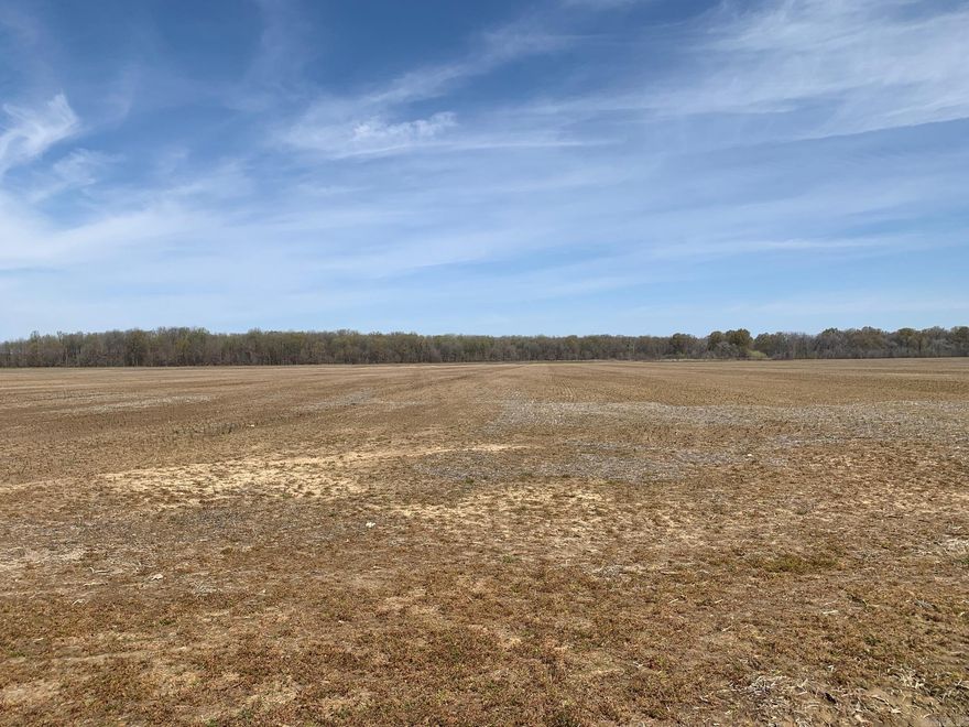 320+- acres split almost with rice/bean farm and Green timber bottom land.  Here is a unique spot located in the Arkansas flyway between Wynne and McCrory Arkansas.  Hickory Ridge is a town of 200+- the farm is  north of highway 64 and east of highway 49 in Cross County.  Cash rent is applied to the tillable acres only.  The woods(171+-) can be flooded by dropping boards on a water control structure on the the northwest end of the tract.  A ditch has been dug around the property and the owner has only needed to use a well to flood the woods a few times since 1987 when he aquired the ground.  The woods usually flood with no help from the owner except to put boards up in the water control structure.   The tillable acres (149+-) are rotated every year with rice and beans.  One well (submersible pump with a power unit) is used (1800 gallons per minute) to flood the entire acerage.   This farm is located between two paved roads that are a few miles apart, however, the owner has deeded easement from two directions one of which has a gravel base which a pickup can reach the farm with no problems even if the road is under water (rare event).