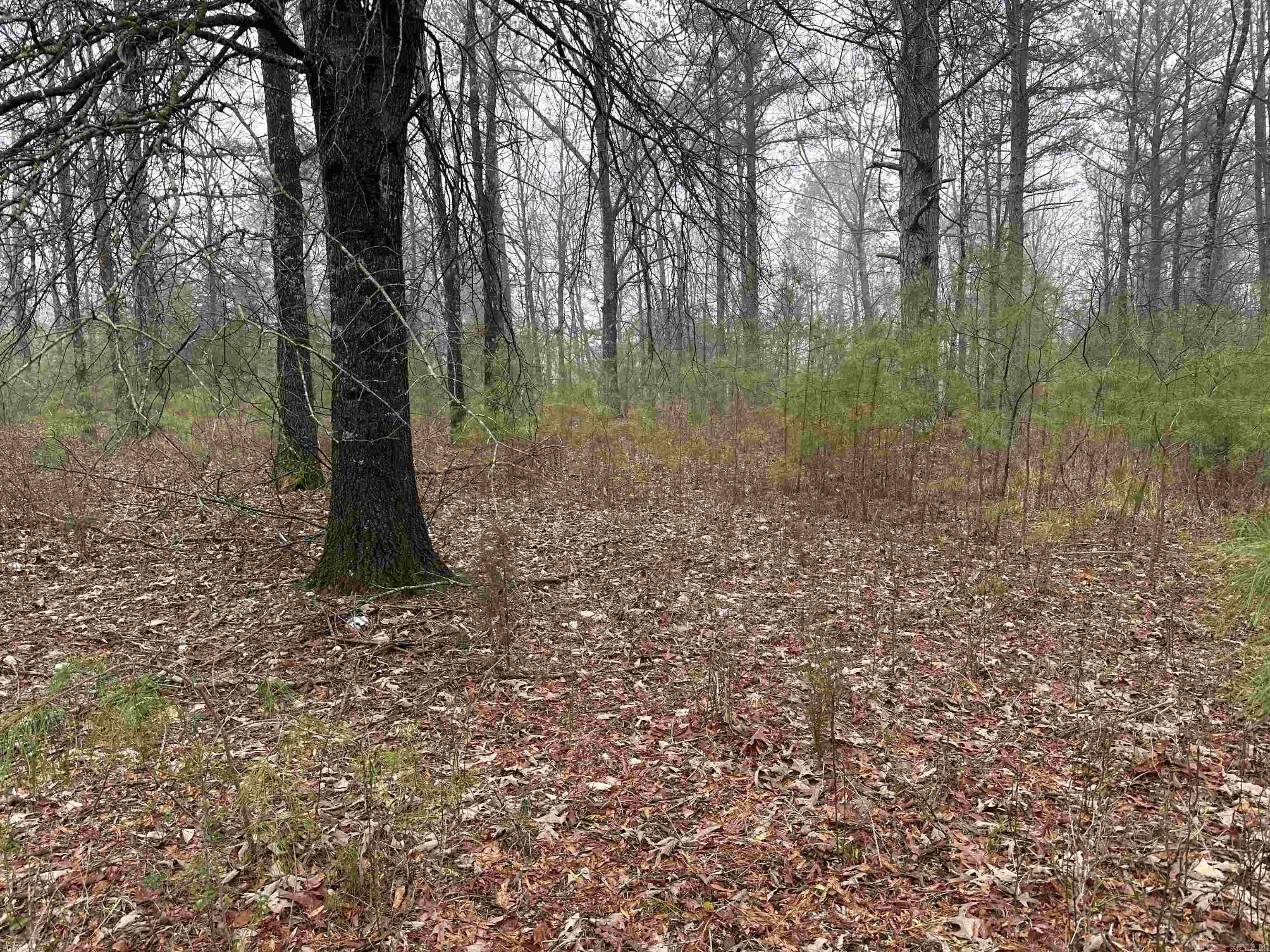 Metes & Bounds - Land