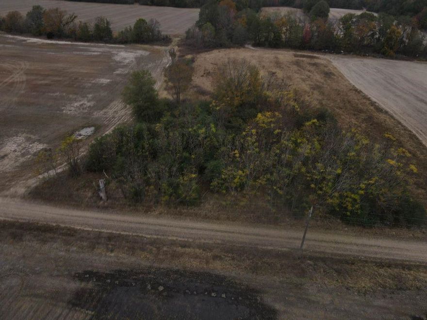 3.34 acre tract in Holly Grove, AR, Monroe County. Level land close to Cache and White Rivers. Ready to go with a perc test completed last year and utilities available at the road. Build a hunting cabin or park your camper. This is a great area for world renowned duck hunting and only 30 minutes to Stuttgart, AR for shopping at Mack’s Prairie Wings or the Wings Over The Prairie Festival that hosts the World’s Championship Duck Calling Contest held annually in November.