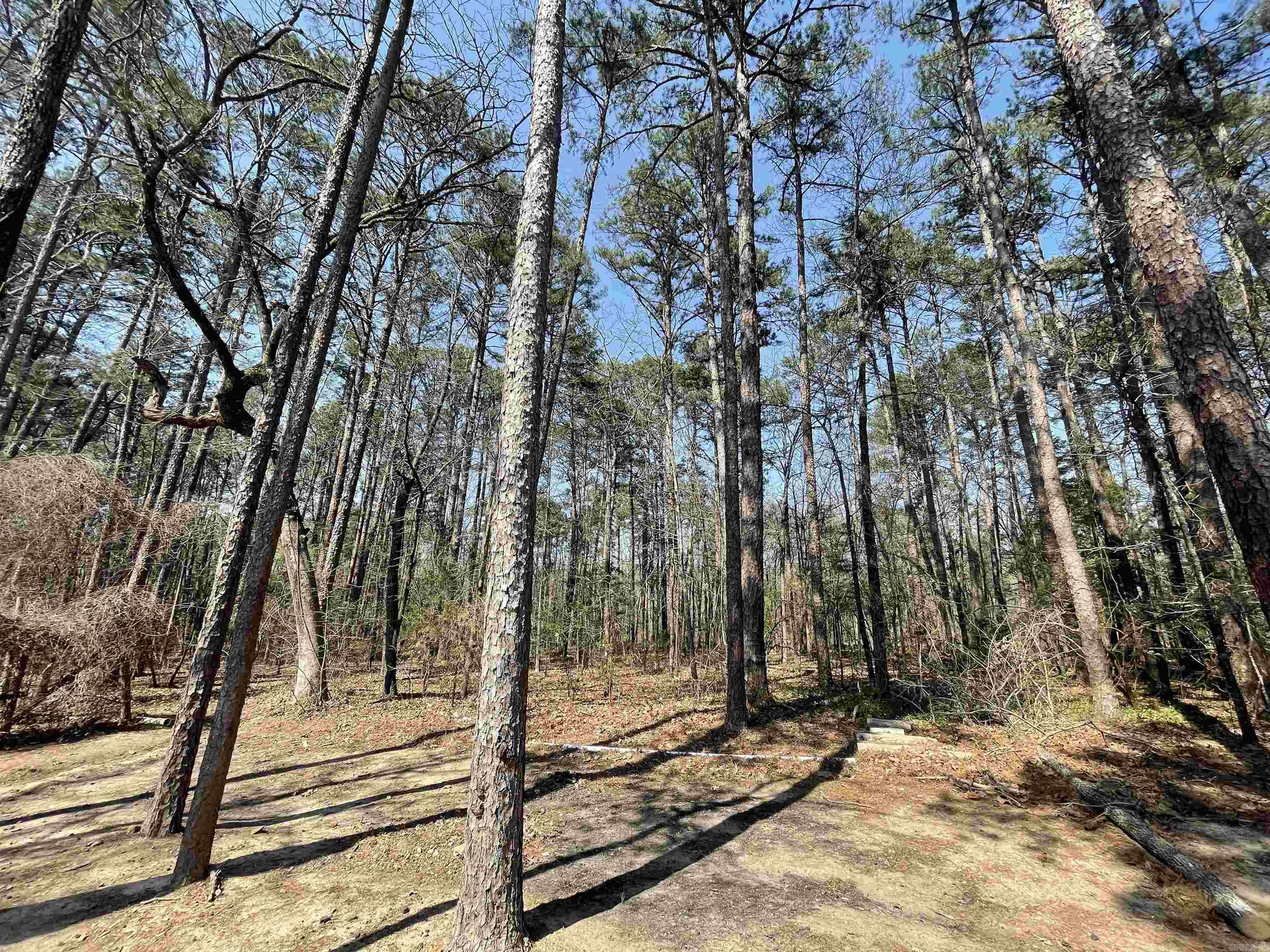 Lakeshore Hills II - Residential