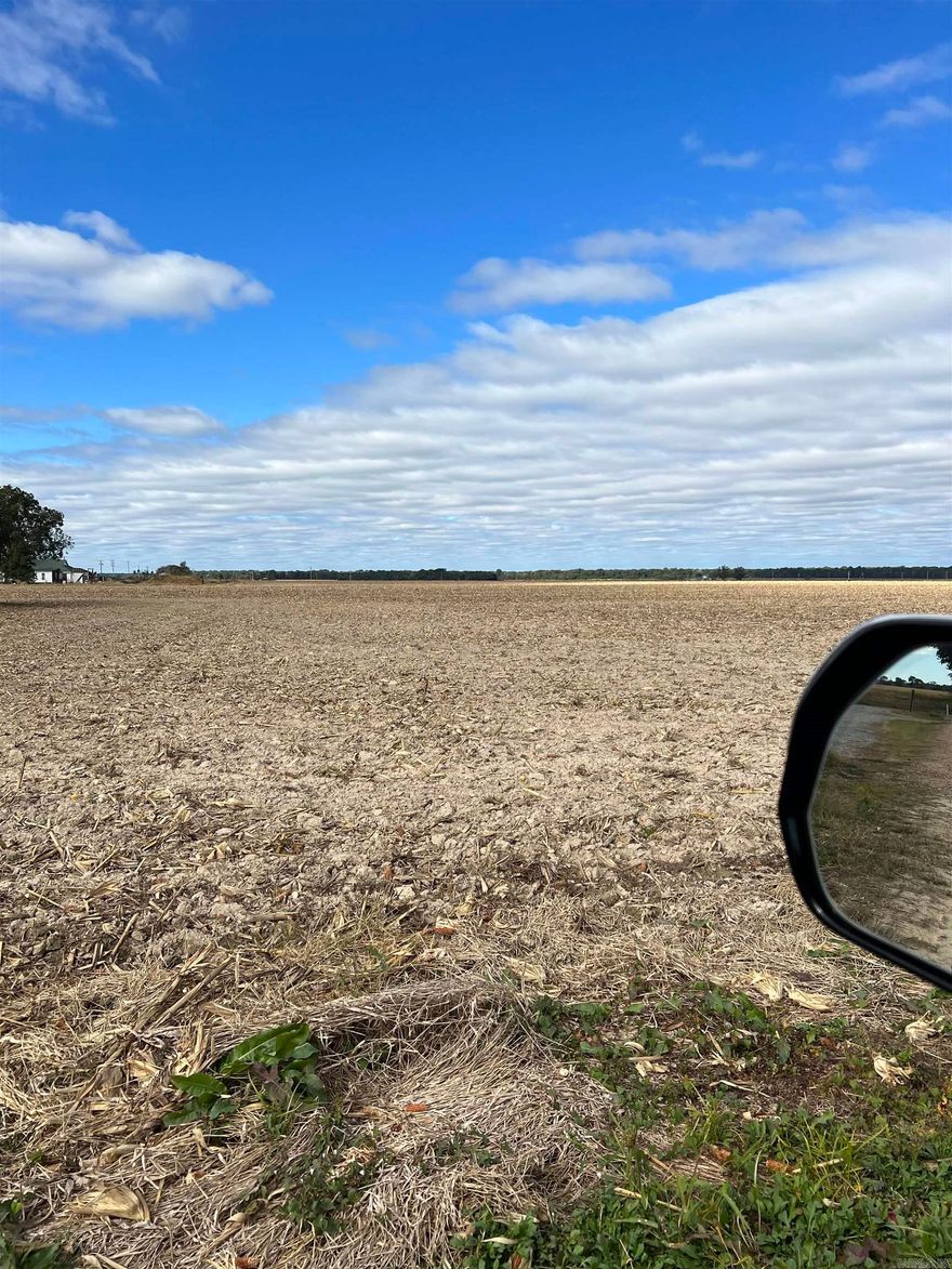 78.05 acres +/- with good rice base and county road frontage in western Clay County, AR. Contact agent for FSA date on this great income producing farm.