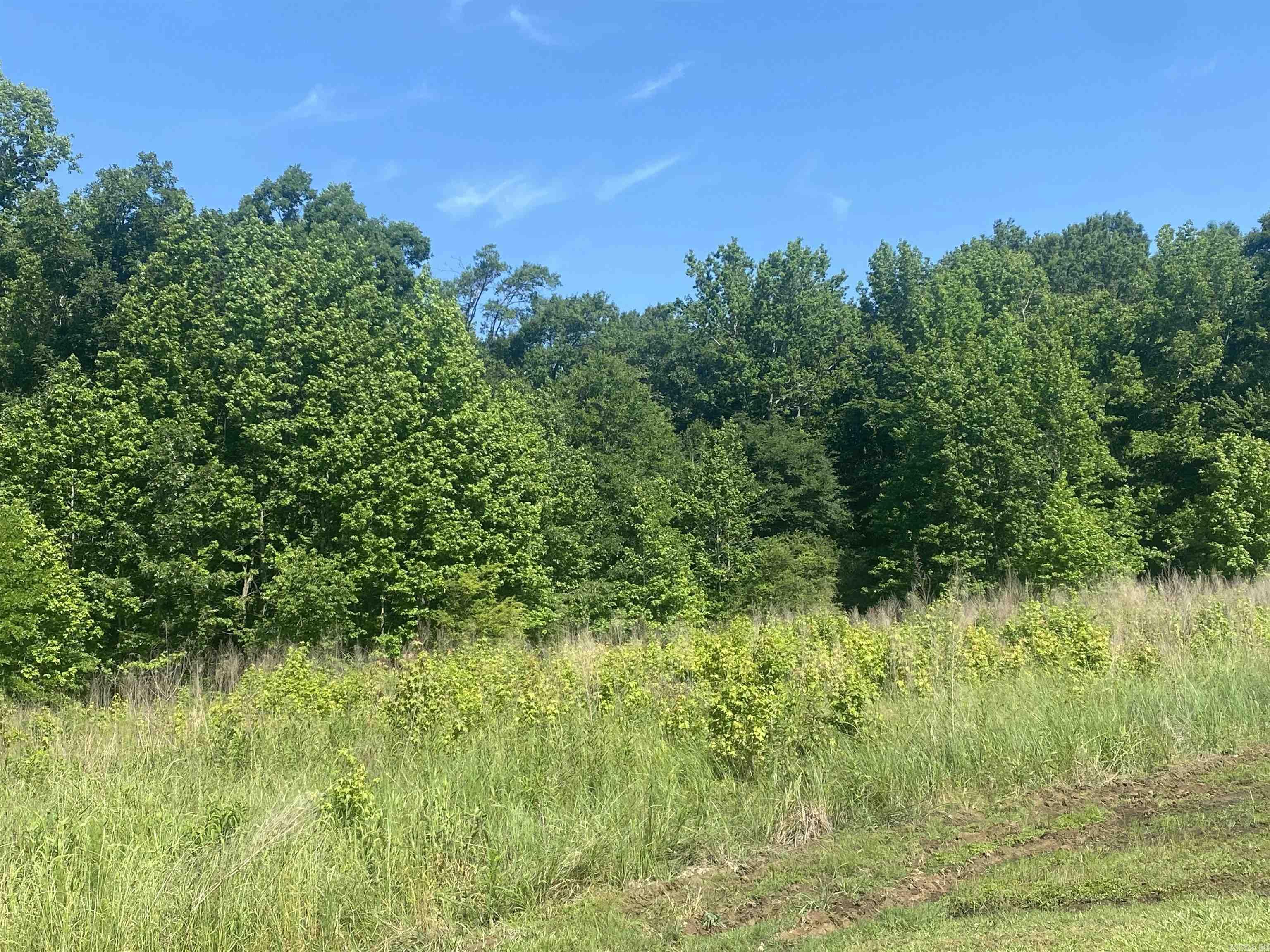 Beautiful 3 acres on land! Build your dream home! Flat level beautiful land! Call today! No mobiles.