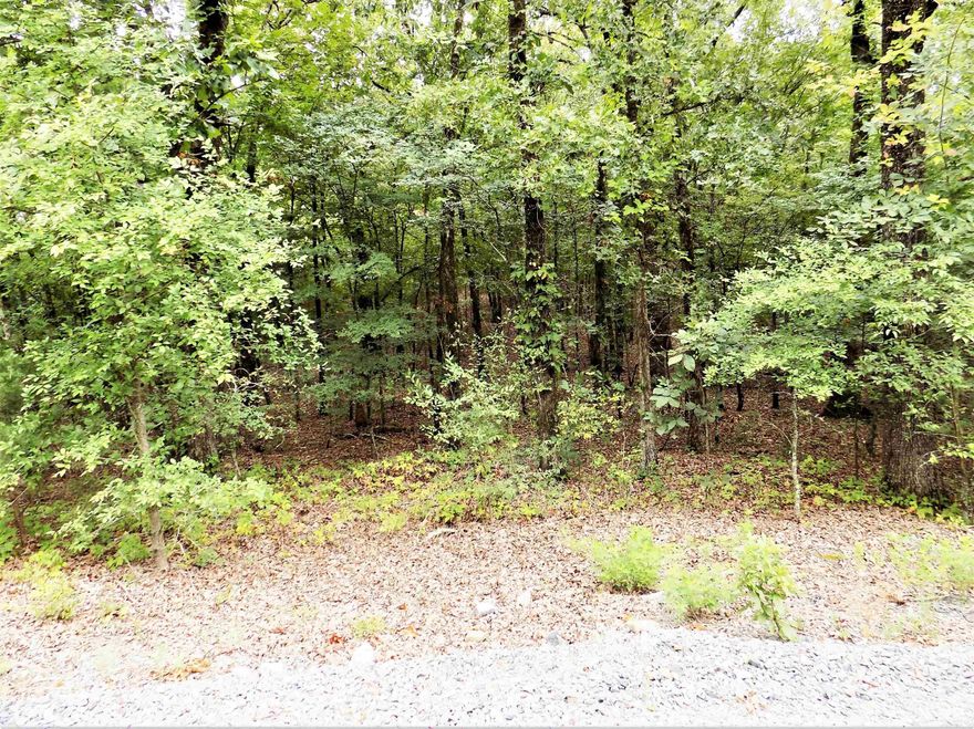 Has mature pine trees, possible source of income, and develop a property with a view. End of road gives much privacy.  Greenbrier Schools.  Spring hill close to Conway