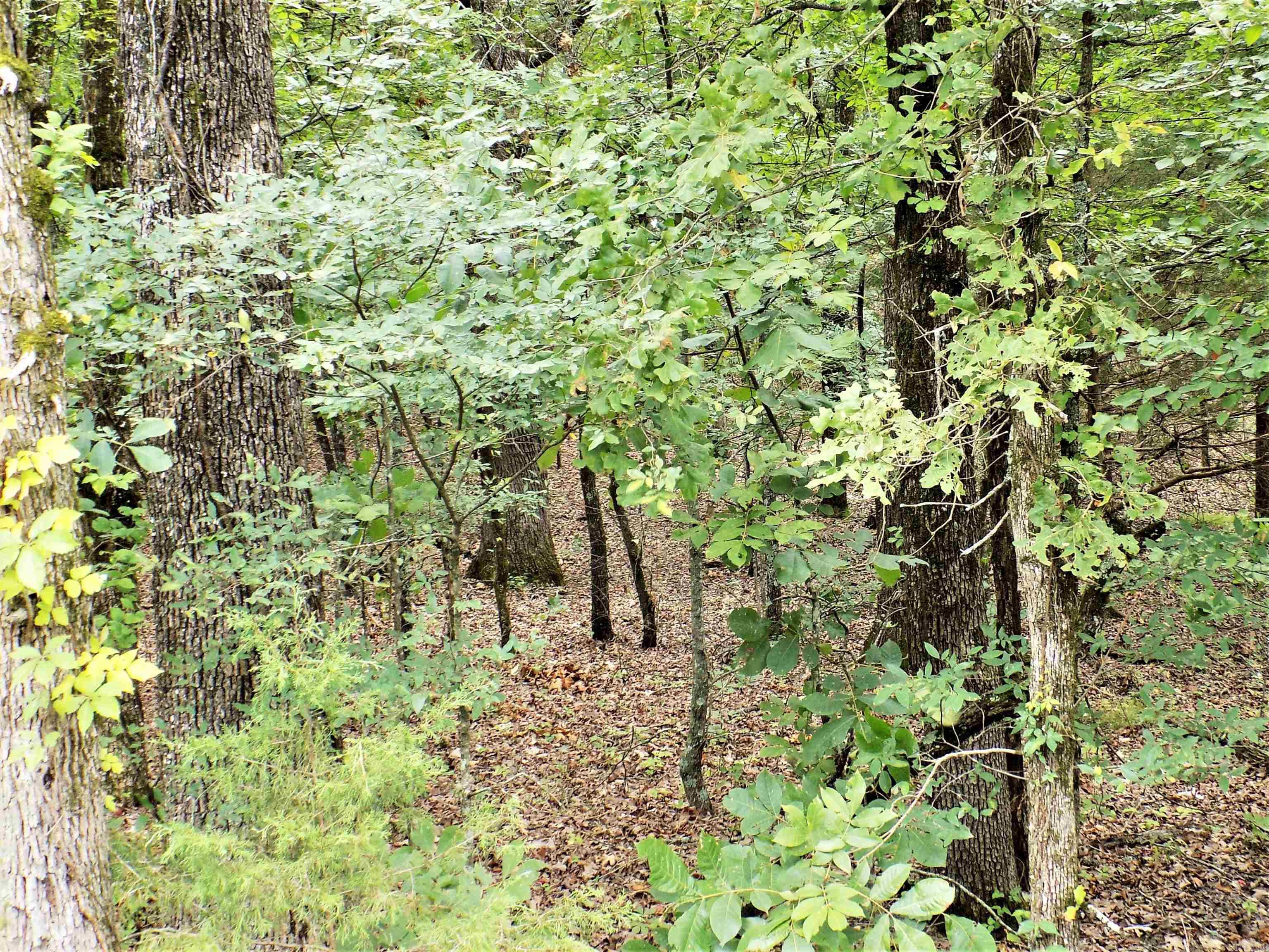 Not in Subdivision - Land