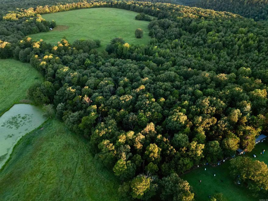 Nestled within the serene landscapes of Cleburne County, Arkansas, lies a remarkable 10 +/- acres that promise a haven of both natural beauty and modern convenience. Stretching across approximately 10 acres, this property provides a generous canvas on which to paint the lifestyle you've dreamed of. Whether you have plans for a cozy cabin enveloped by nature or your forever home, this land offers the space and potential to make those dreams a reality. Convenience is seamlessly woven into this rural escape. Access is a breeze, thanks to the paved road frontage that greets you upon arrival. As you journey along the well-maintained road, you'll feel the excitement of approaching a sanctuary that's both easily reachable and wonderfully secluded. Modern living meets natural beauty with the availability of electricity at the road's edge. Imagine designing your home to perfectly complement the landscape while enjoying all the modern comforts that electricity provides. Additionally, rural water access at the road ensures that your abode can be comfortably self-sufficient, allowing you to embrace the simplicity of country living.