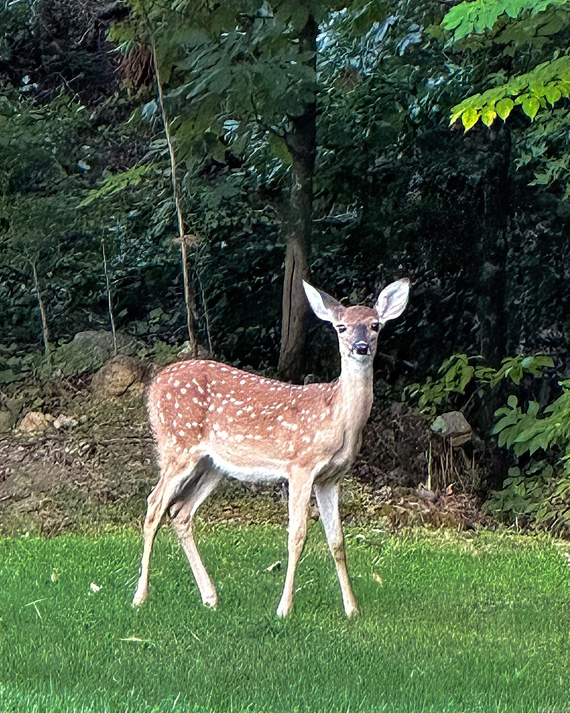 CHENAL VALLEY CHALAMONT PLACE - Residential