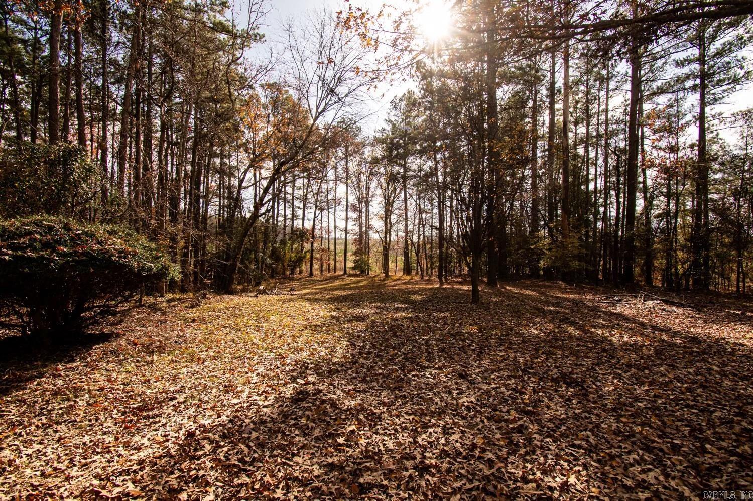 Central Rural - Residential