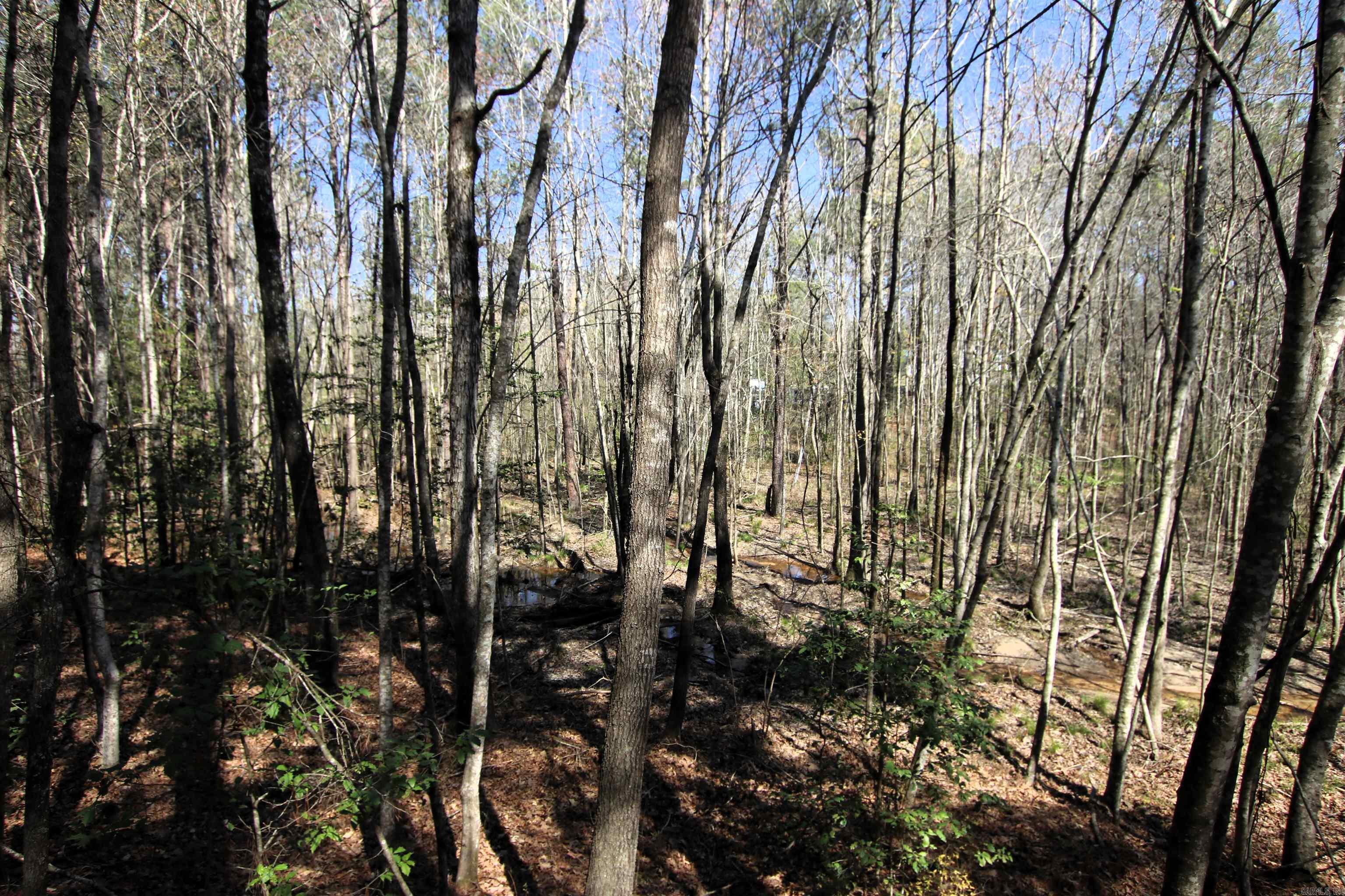 Not in Subdivision - Farm