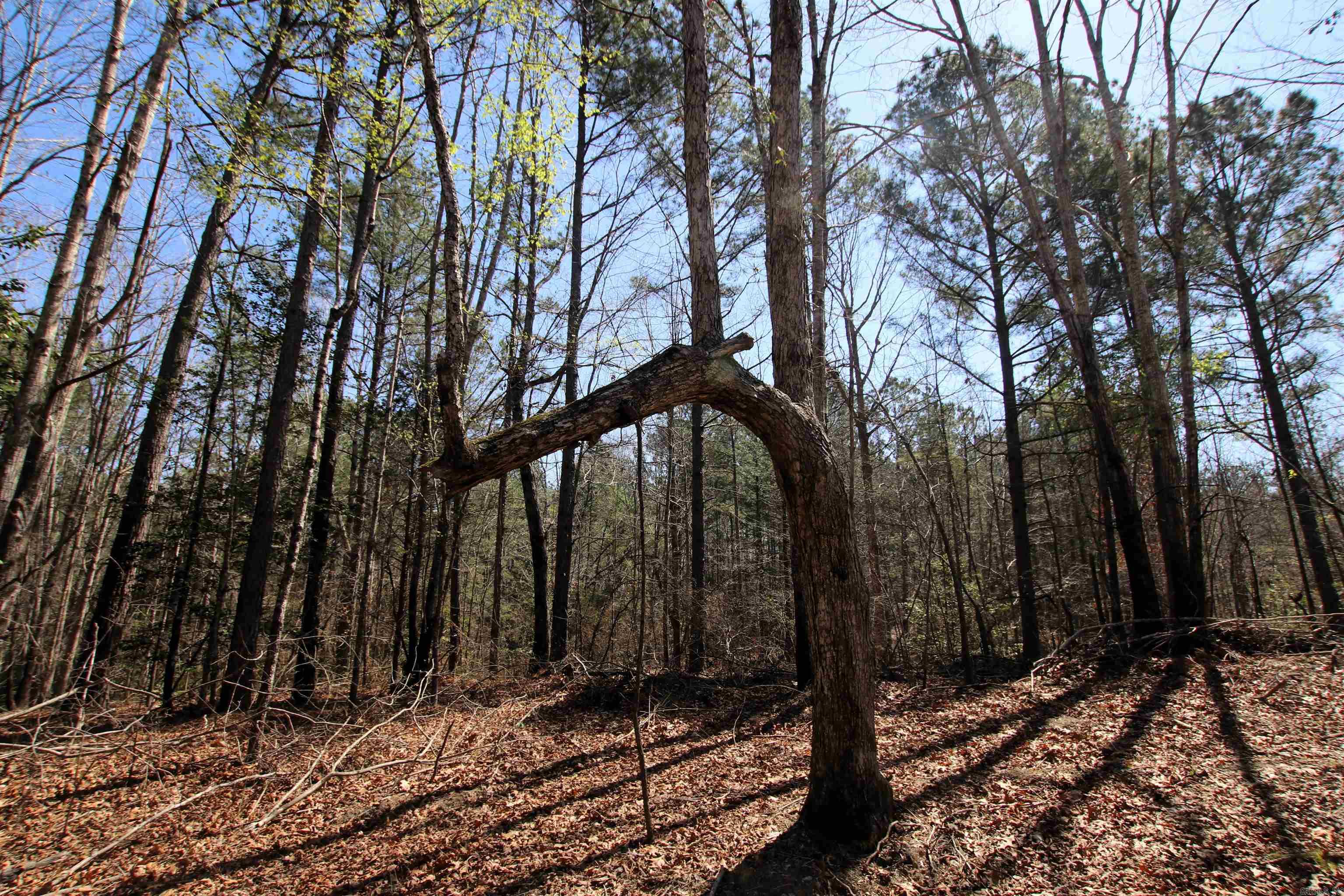 Not in Subdivision - Farm