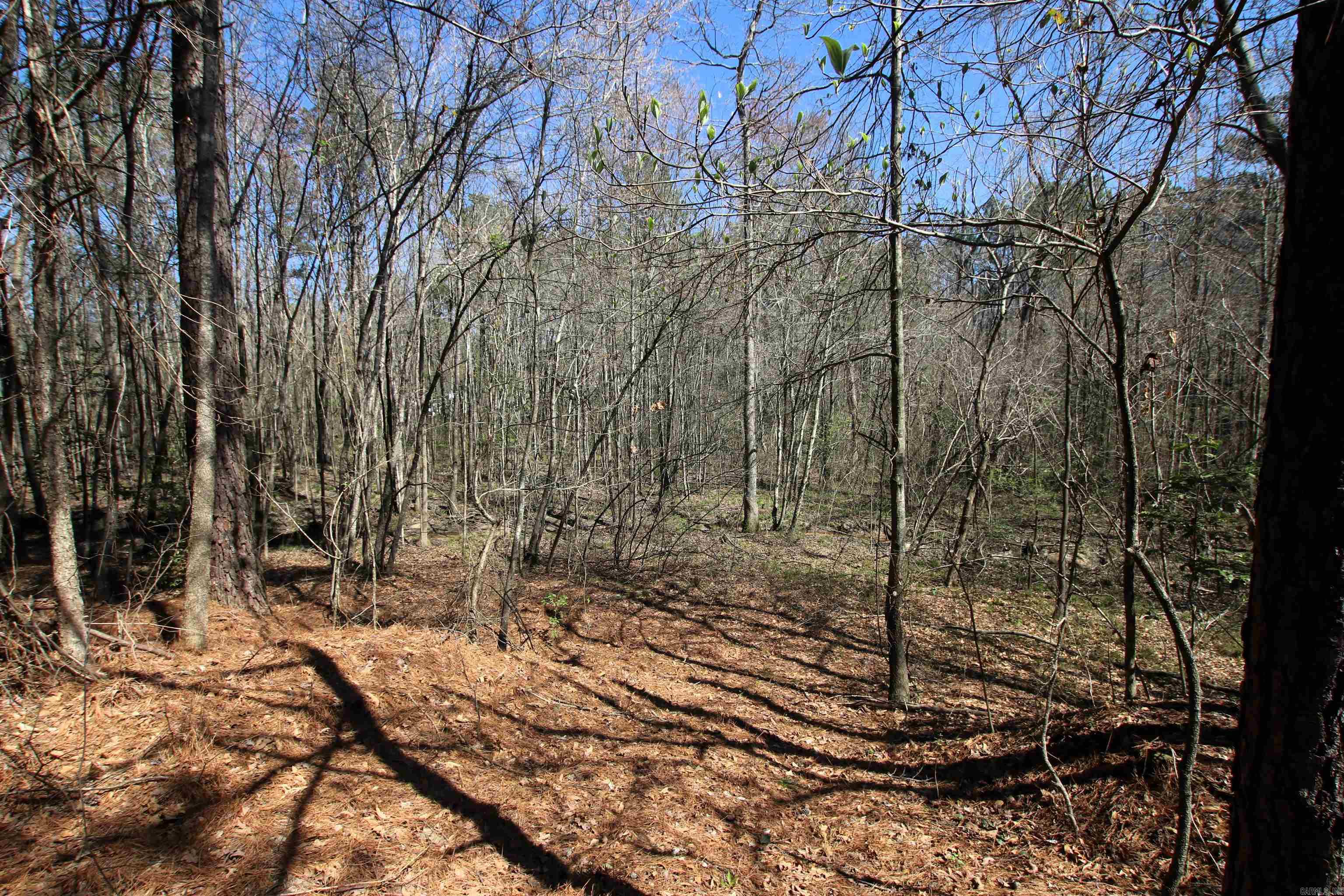 Not in Subdivision - Farm