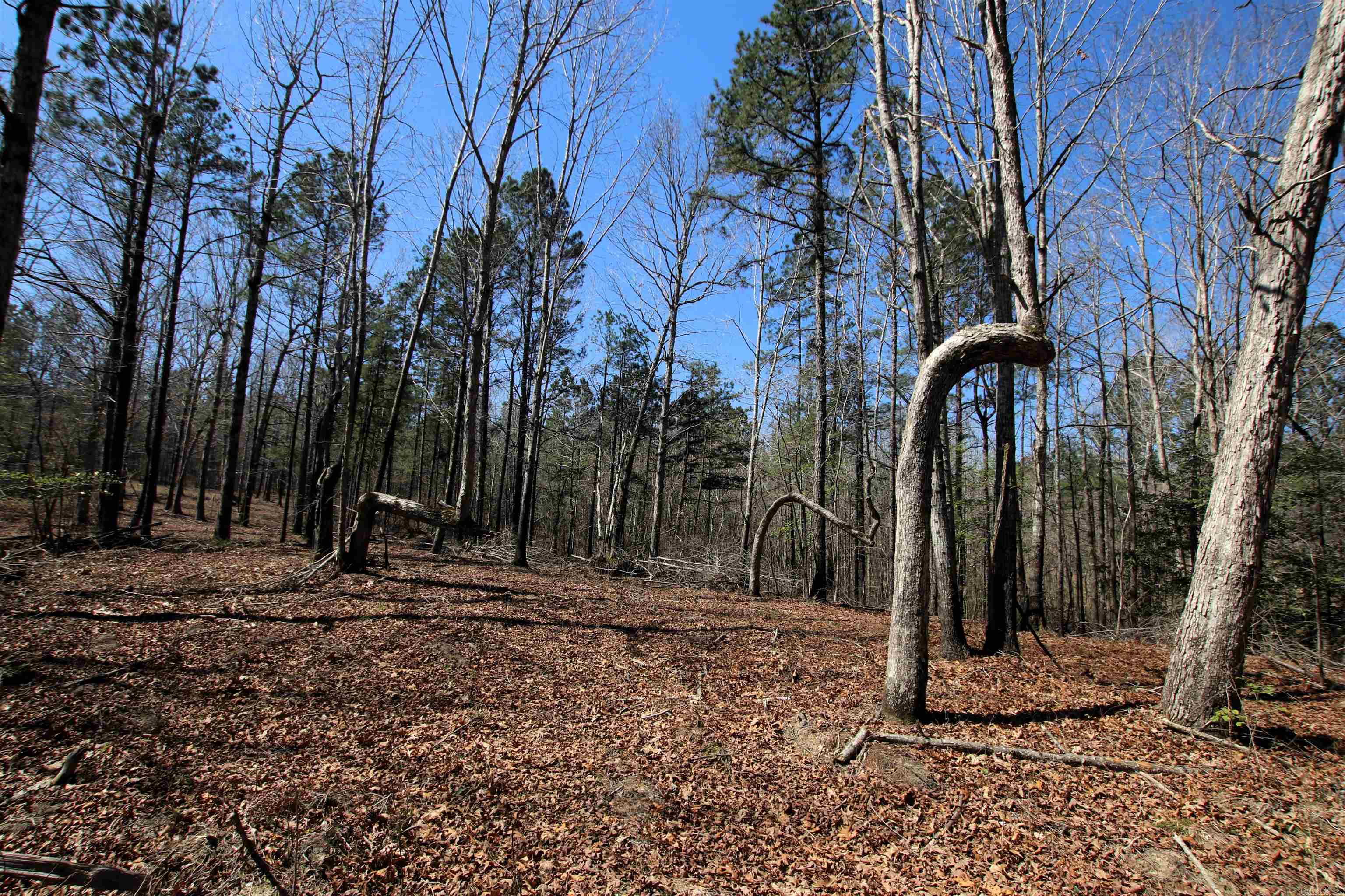 Not in Subdivision - Farm