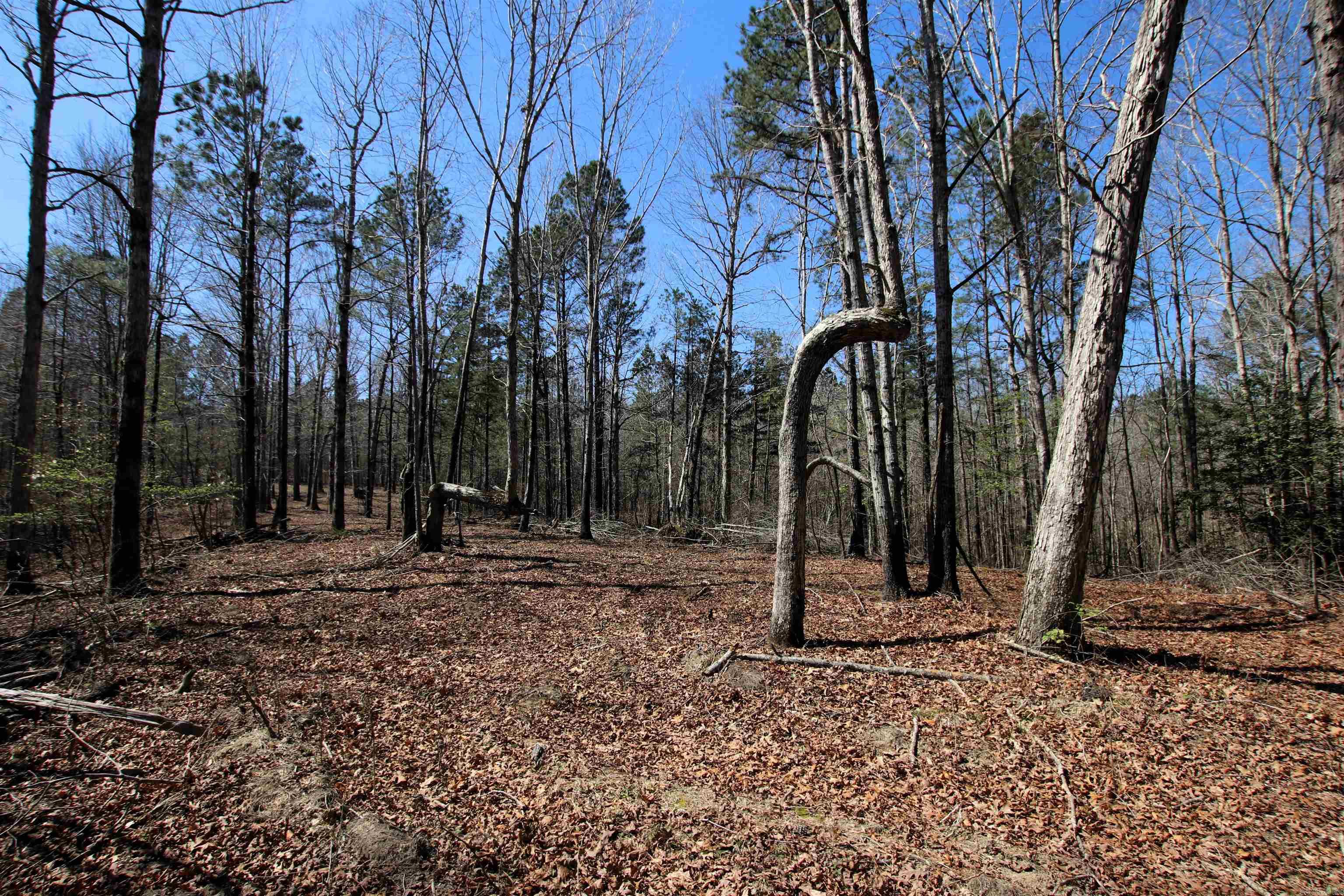 Not in Subdivision - Farm