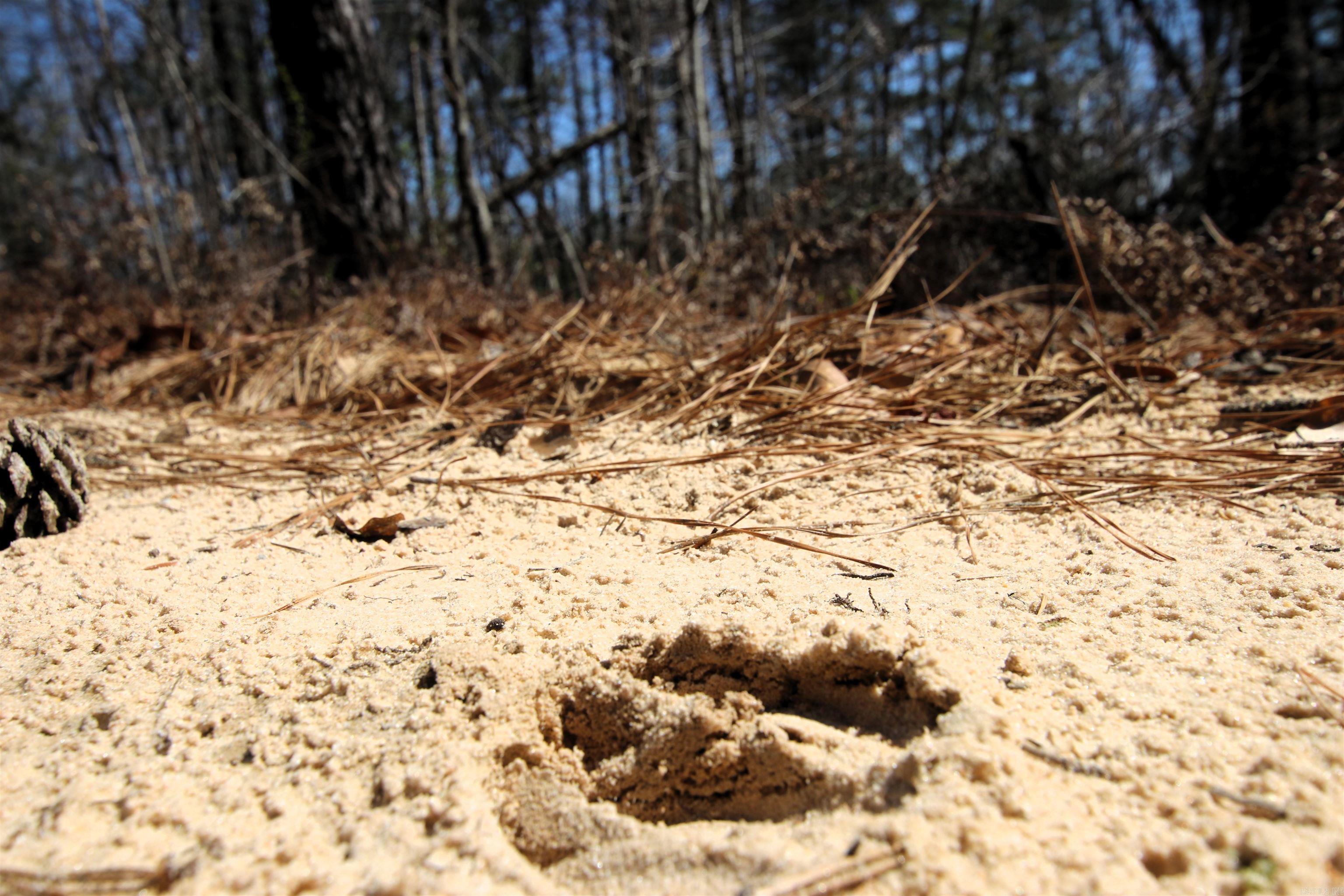 Not in Subdivision - Farm