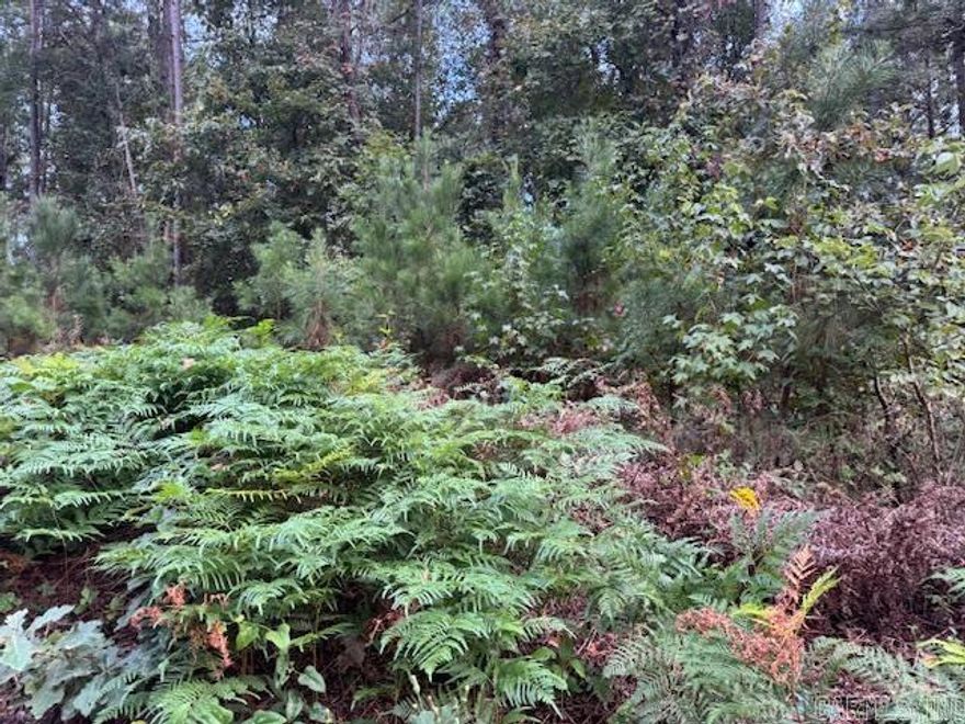 Five acres located on a dead end street with access to over 13,000 acres of Federal Hunting land within a 2 minute drive. Beautiful swimming hole one mile up the rd and access to Mazarn Creek just around the corner. If you are looking for a great place to set up a little getaway this is it!