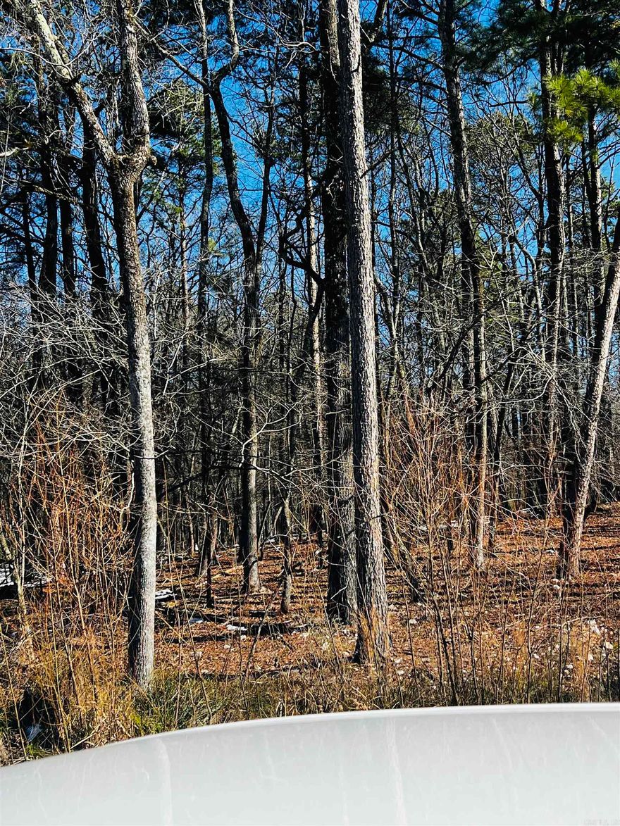 HOME OWNER ASSOCIATION  HAS NOT BEEN ESTABLISH  I HAVE ATTACHED A COPY OF BILL OF ASSURANCE  YOU CAN ALSO TEXT 870-413-1301 FOR A COPY OF BILL OF ASSURANCE