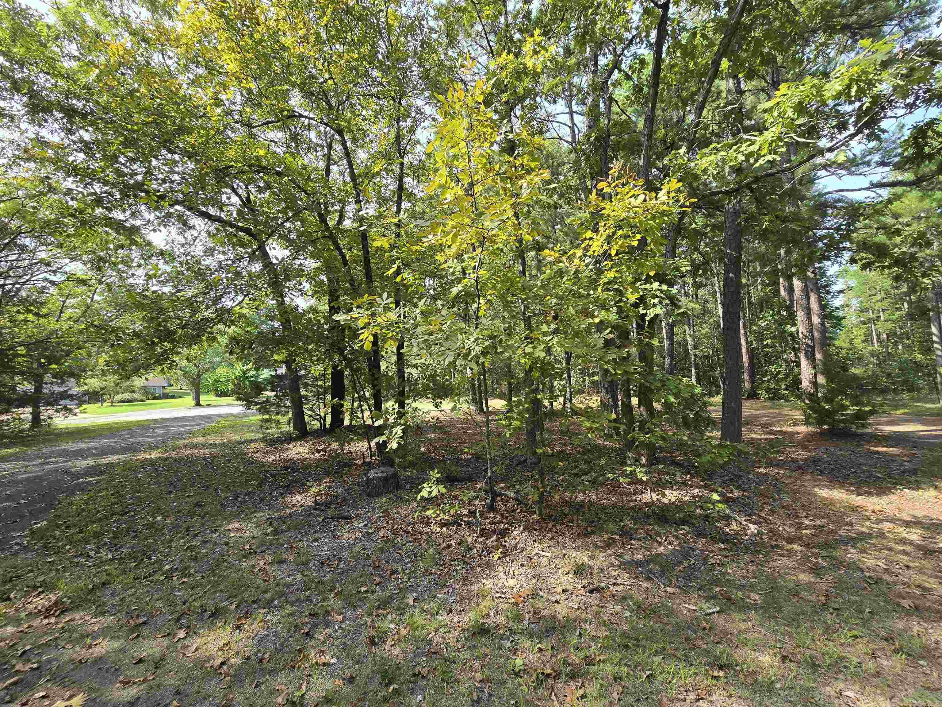 Discover the perfect opportunity to create your dream home or weekend getaway in the charming Ozark lake town of Fairfield Bay, Arkansas. This residential lot provides plenty of space to design and build the home you've always envisioned. Situated just minutes away from the Fairfield Bay Marina and Greers Ferry Lake, you'll have access to endless water-based activities such as boating, fishing, swimming, Fairfield Bay also offers 3 communities pools, mini golf, bowling, pickleball, tennis, restaurants, hundred miles of ATV & hiking/biking trails and so much more Embrace the tranquil atmosphere and breathtaking natural beauty of the Ozarks as you design you forever home or plan your weekend retreat. Don't miss out on the chance to be part of this lake town community, where the beauty of nature merges seamlessly with modern amenities and a relaxed lifestyle. Possible owner finance