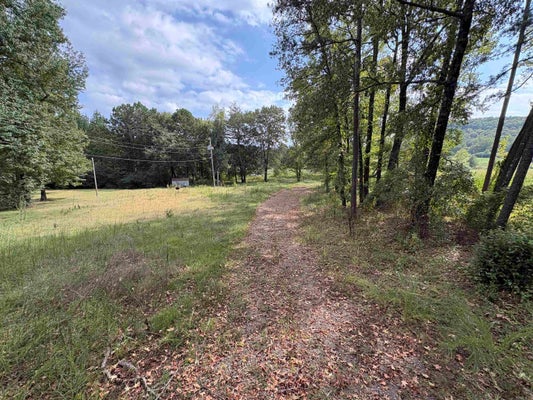 131 BOOGER HOLLOW RD, DOVER, AR 72837 - Image 4722d0d90cb5986300c3e1ffb4a8efeb/3946402302