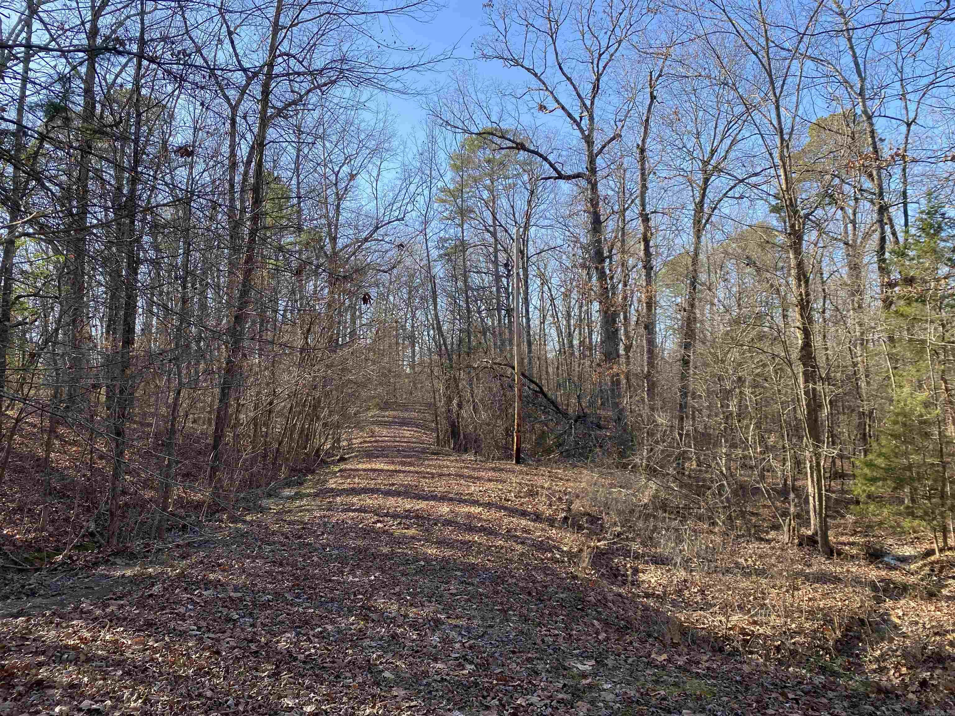 Great neighborhood! Build your dream home or your cabin get away on this spacious 3.18 acre m/l lot in Mount Ida. Not far from all the amenities of town but the feeling of being in the country with lots of large mixed variety of trees. Paved city road with city water available near the lot. Driveway has been started to beautiful building site toward the back of the property. Very quiet neighborhood with some great houses nearby. Call today! $40,000.00