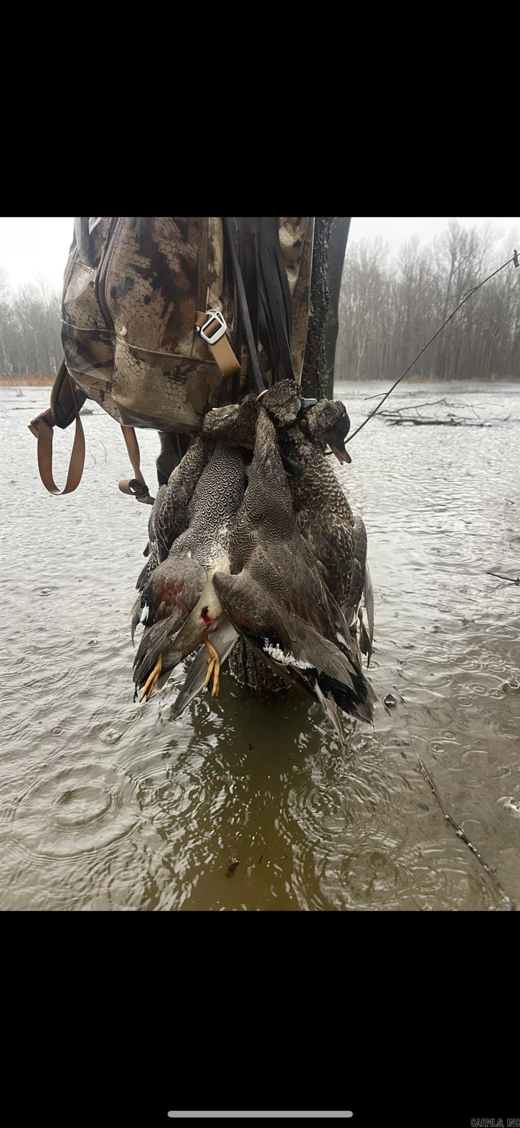 Metes & Bounds - Land