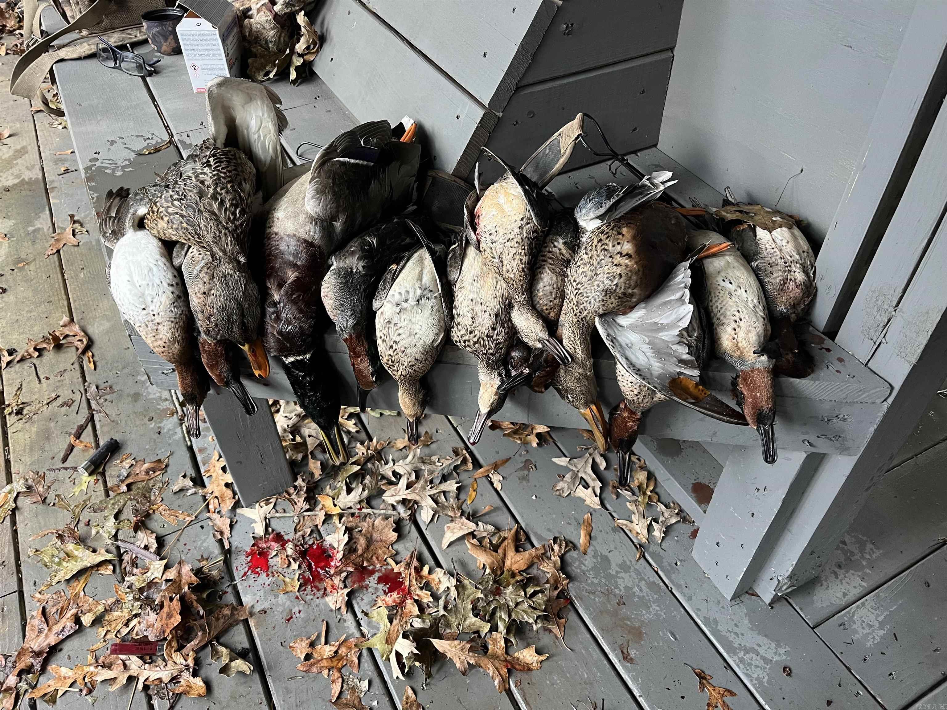 Metes & Bounds - Land