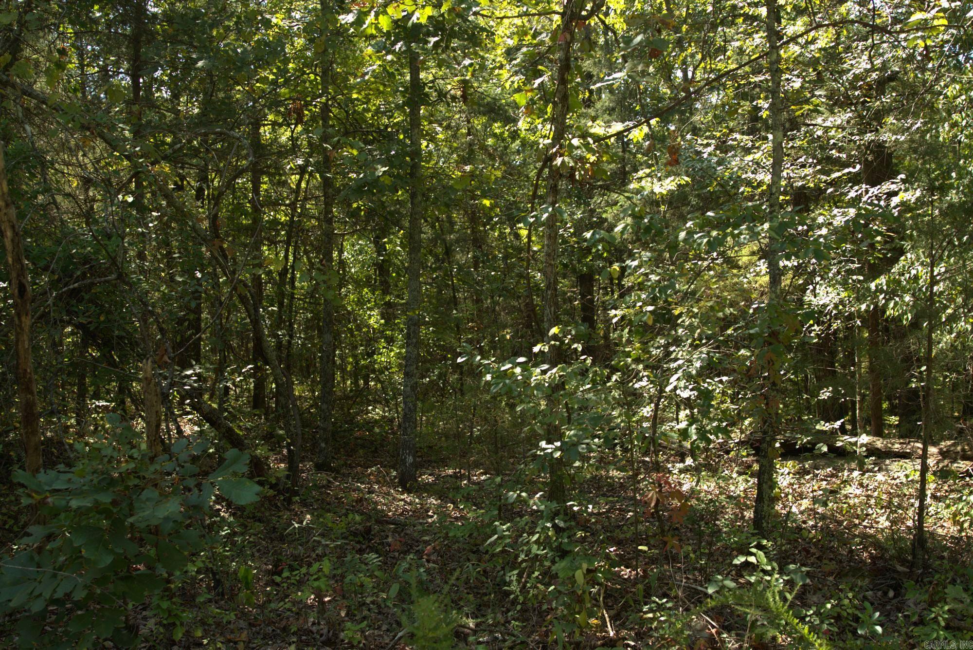 Build your new home on this .37 (+/-) acre lot by Pioneer Lake. It is walking distance to beach access and only minutes from local amenities and 2 other lakes. No owner financing available. Mobile homes not allowed. Call or text today for more information.