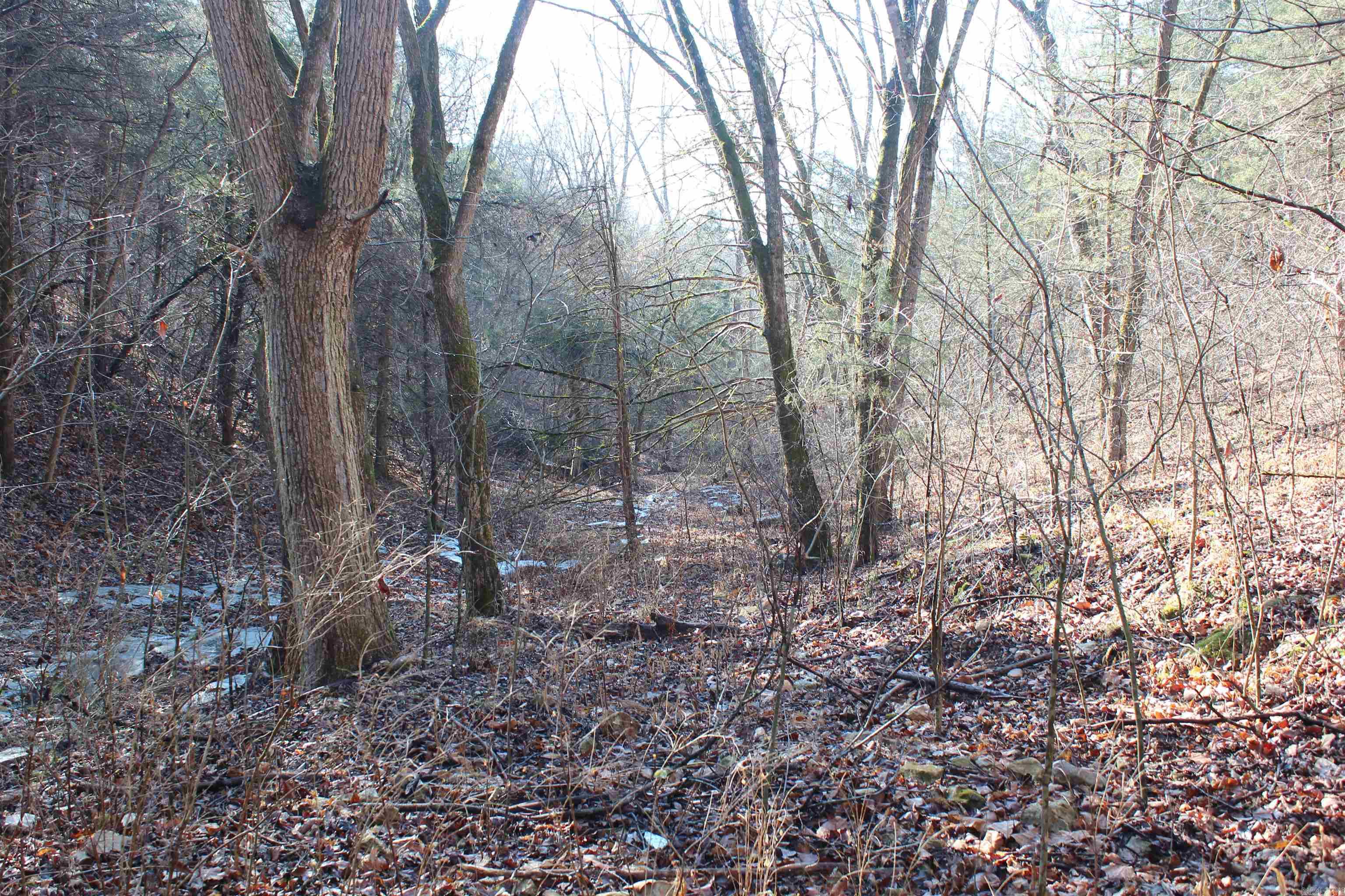 Not in Subdivision - Land