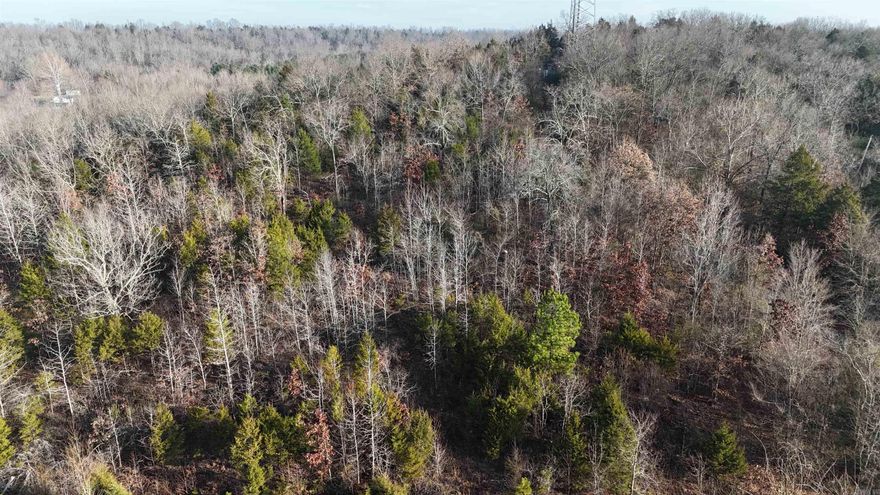 This exceptional 80+/- acre property is situated at the end of Fallen Tree Road. The cleared summit offers expansive views of the surrounding mountains, with the current owners reporting visibility of weather patterns hundreds of miles in advance of their arrival. An extensive trail system ensures the property is easily traversable. The majority of the acreage is encompassed by mature hardwood timber. Featuring a mix of ridge tops and draws, this location is ideal for hunting.  The property is well-suited for either a hunting retreat or the site of a permanent residence. Essential infrastructure includes on-site electricity and a developed spring, with rural water access also available nearby. Water storage is addressed with a 300-gallon cistern at the spring and a 1,000-gallon cistern located at the highest elevation. Furthermore, the site includes a 1,500-square-foot concrete slab, suitable for a home, workshop, or barn, alongside a buried 1,000-gallon propane tank positioned adjacent to the slab.  The property presents excellent opportunities for hunting, with numerous deer observed during site inspection. Abundant mast crops in the autumn and ground-level vegetation available t