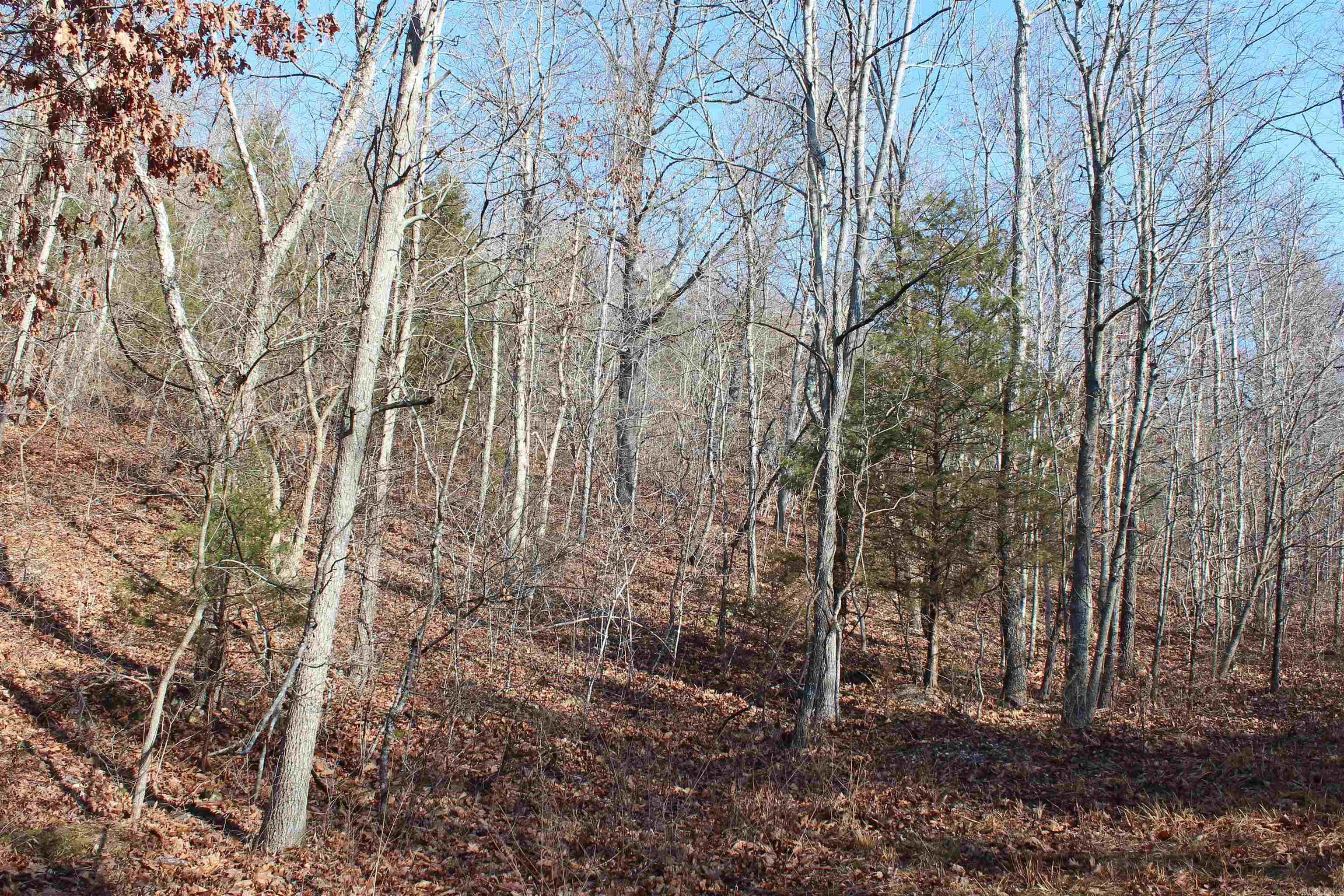 Not in Subdivision - Land