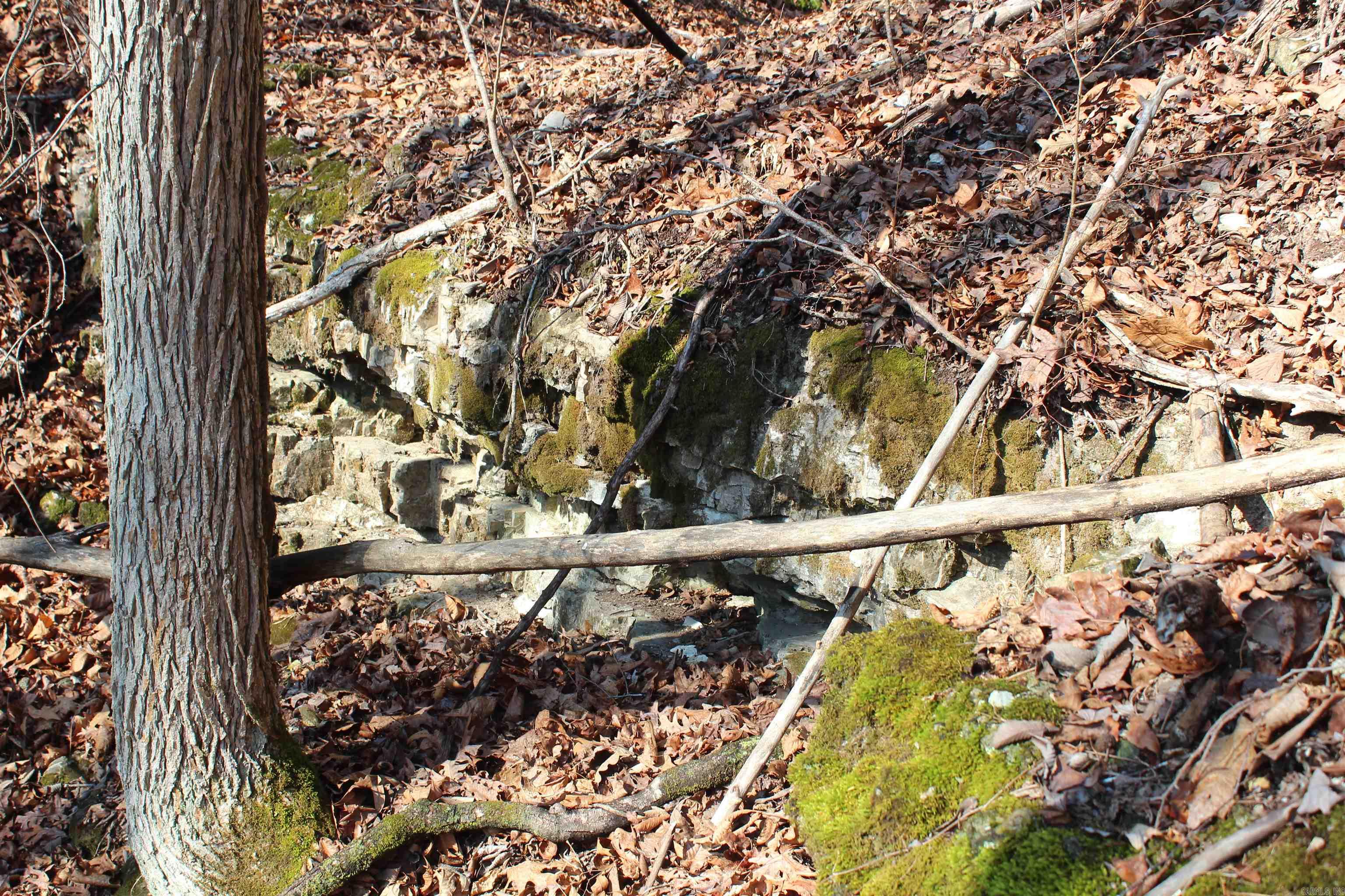 Not in Subdivision - Land