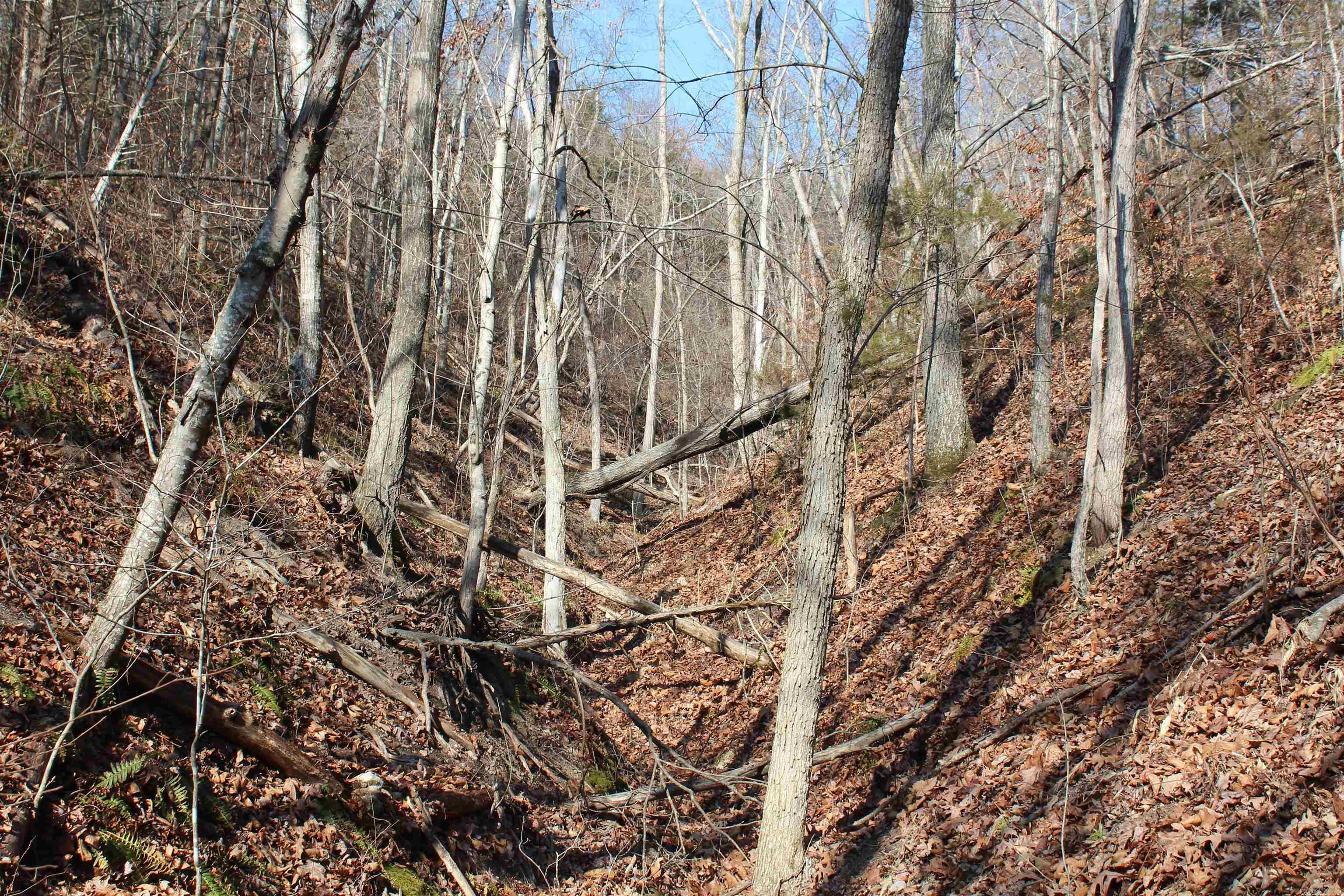 Not in Subdivision - Land