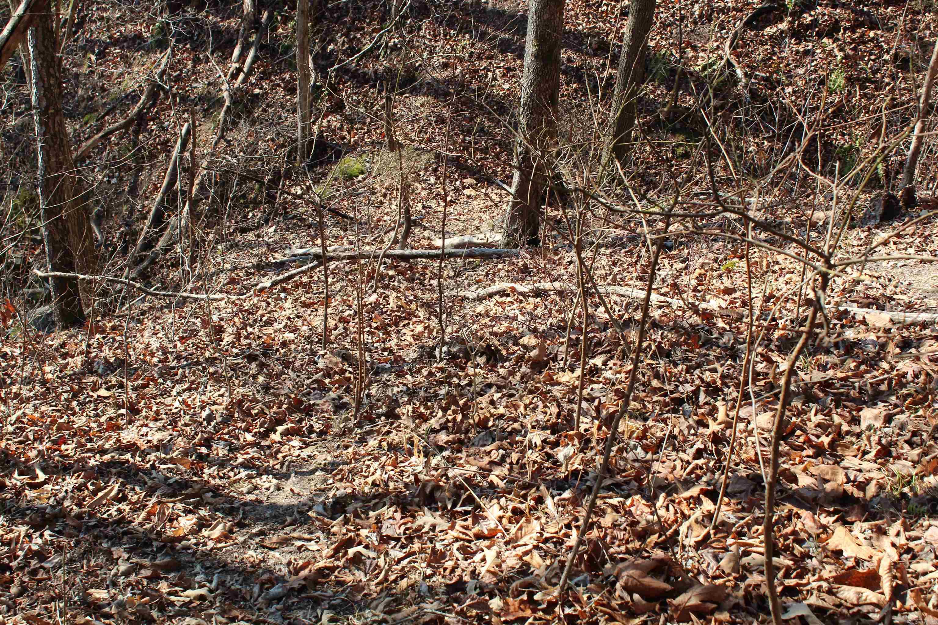 Not in Subdivision - Land