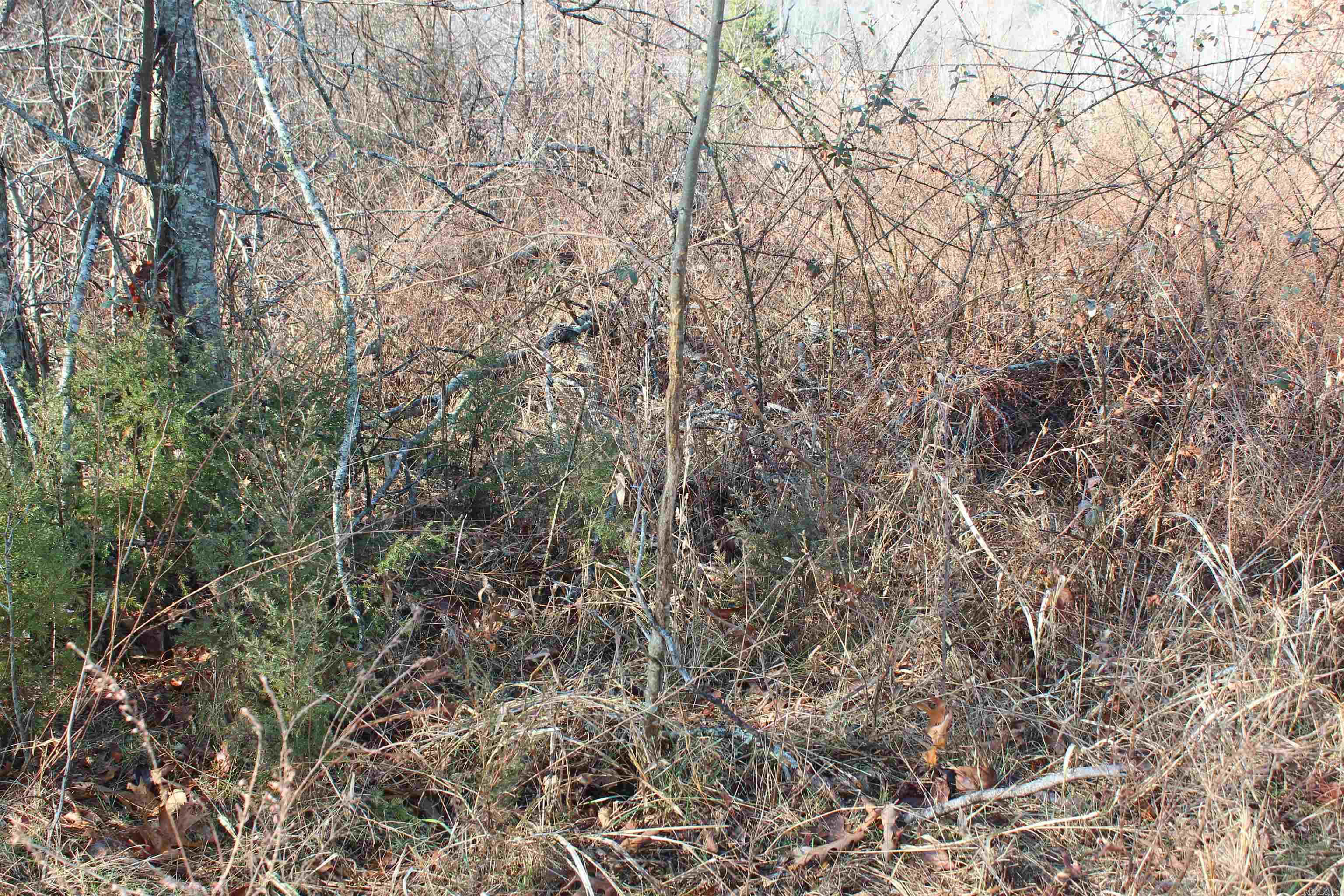 Not in Subdivision - Land