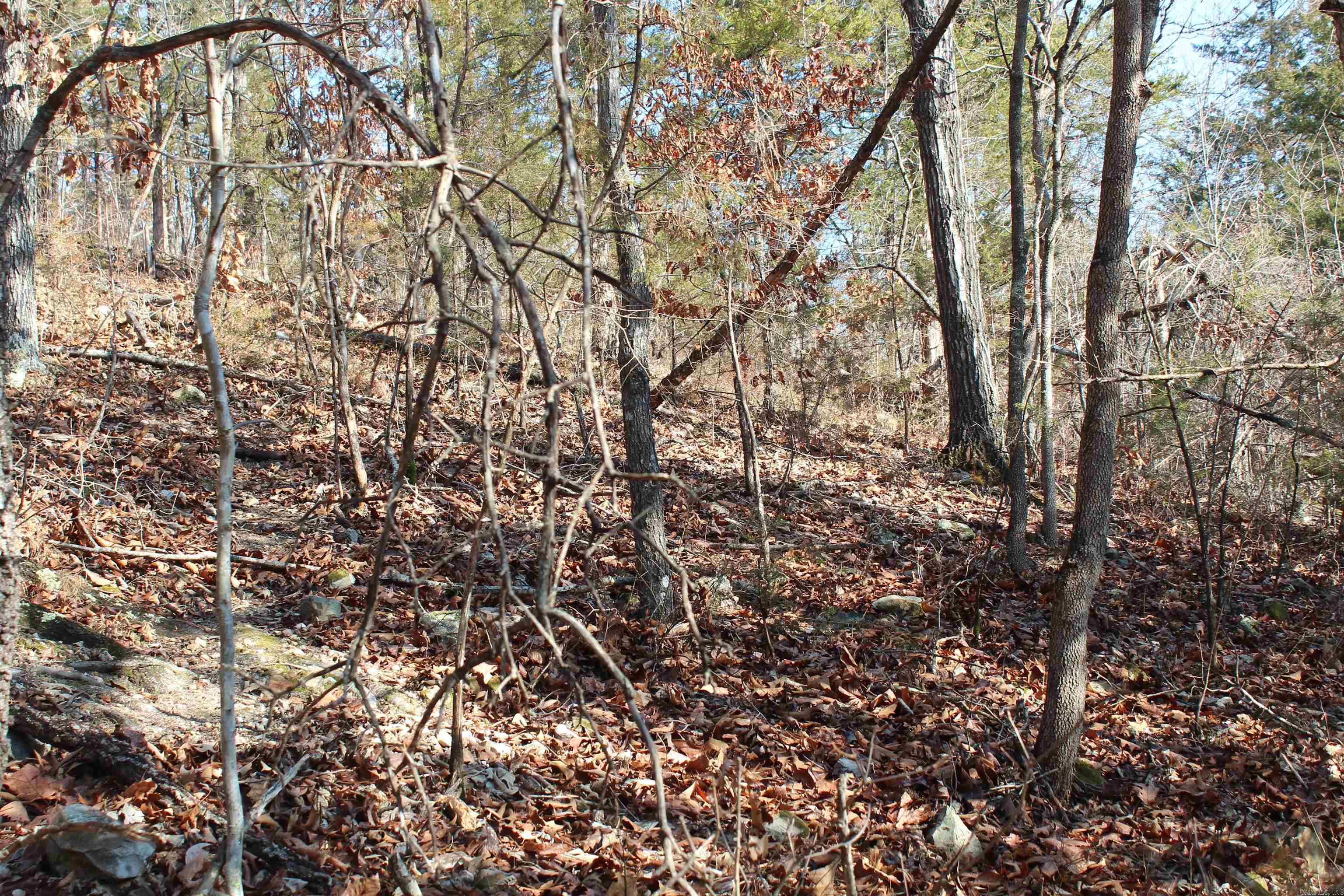 Not in Subdivision - Land