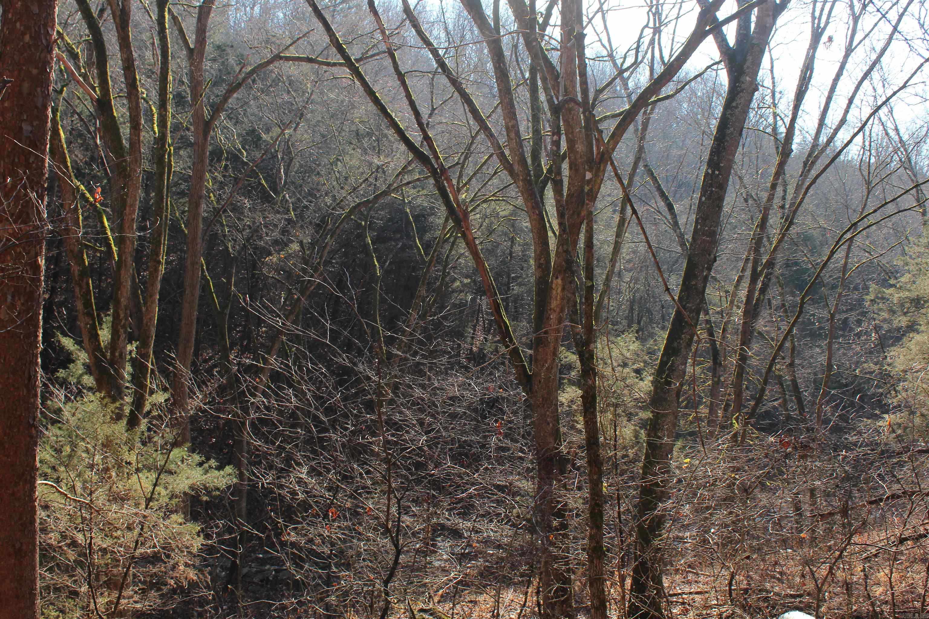 Not in Subdivision - Land