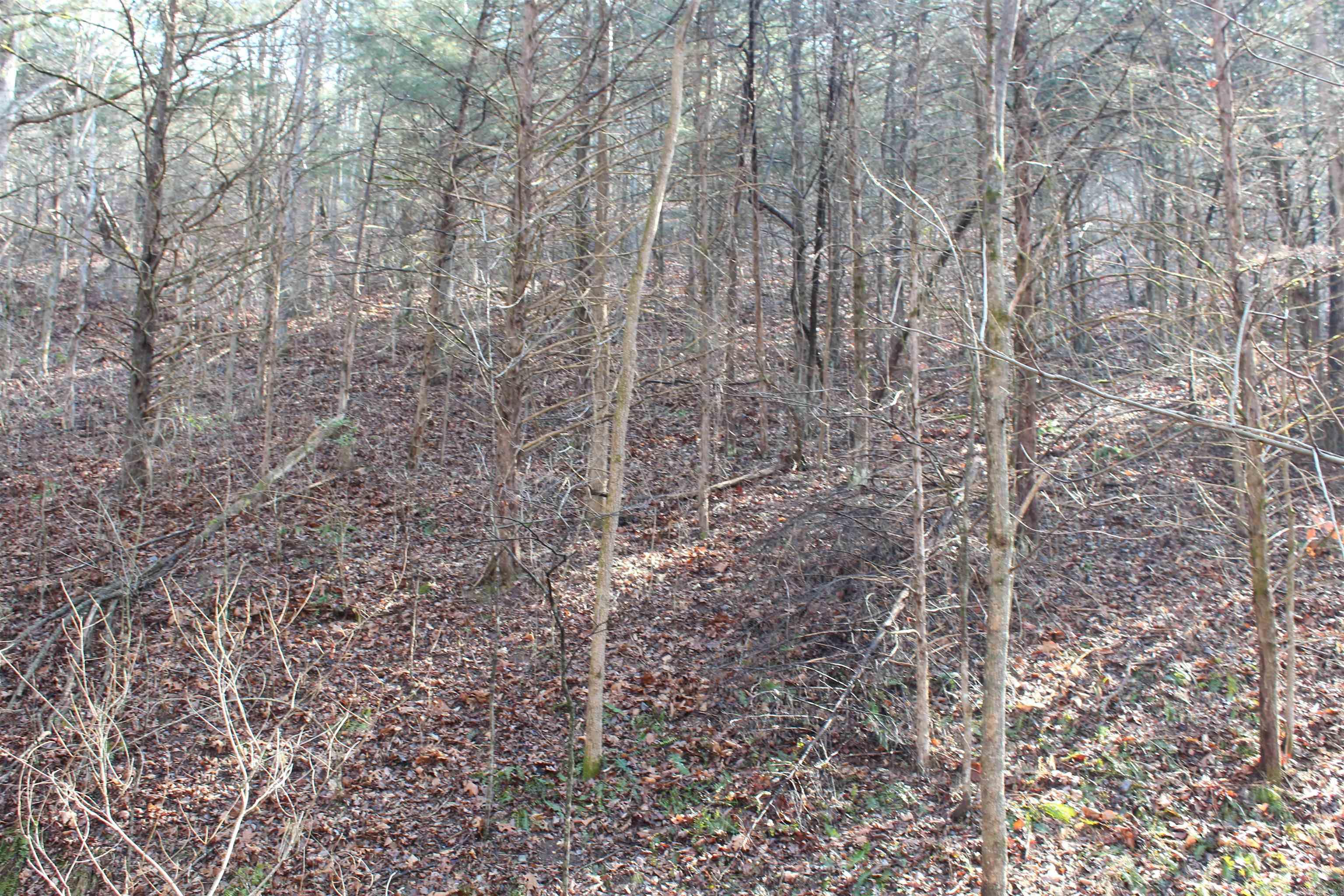 Not in Subdivision - Land