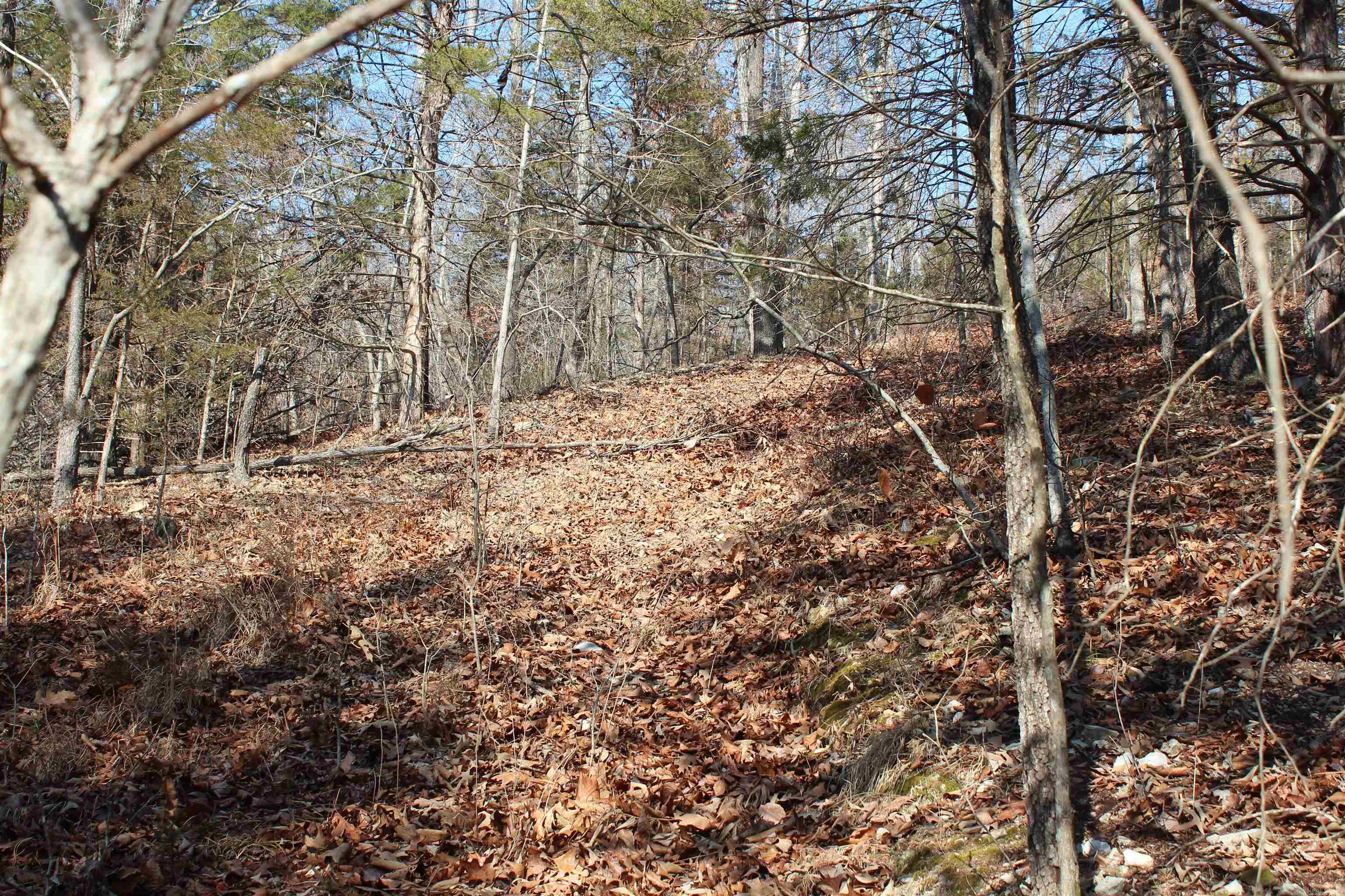 Not in Subdivision - Land