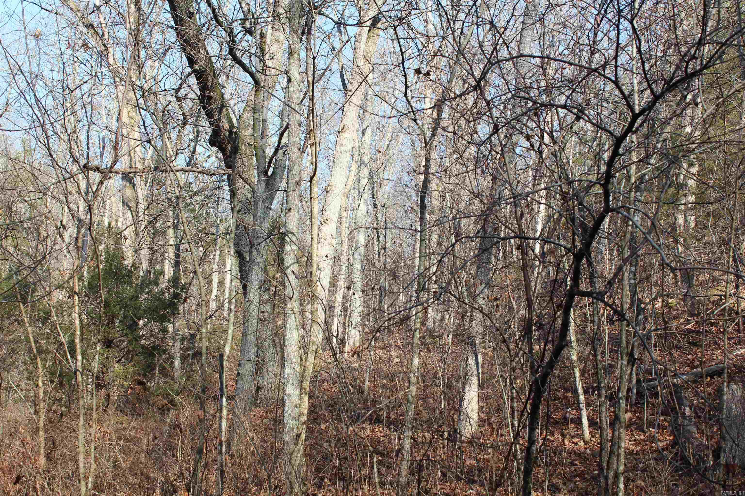 Not in Subdivision - Land