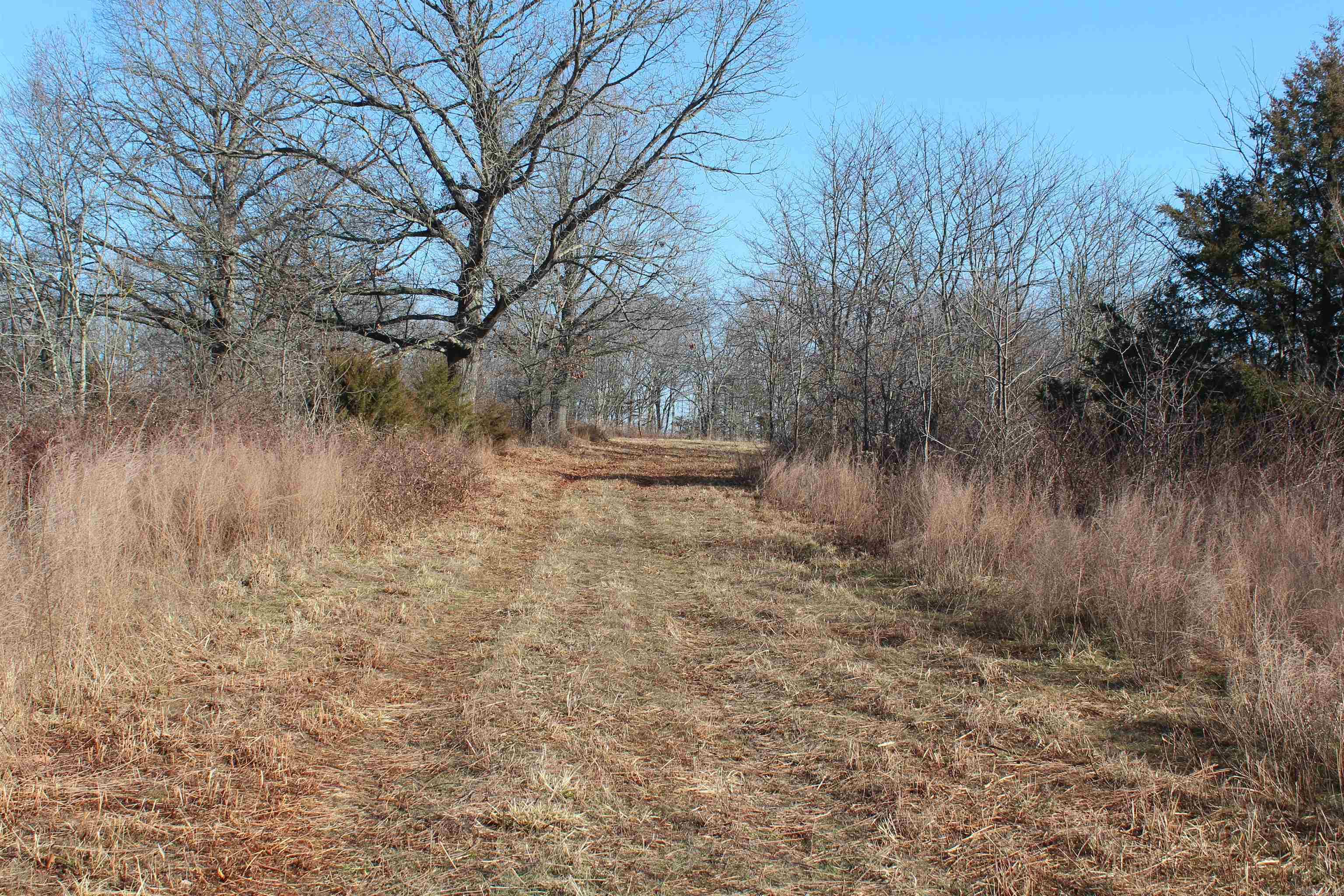 Not in Subdivision - Land